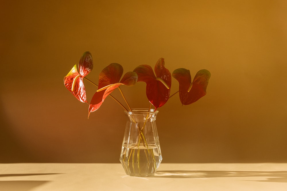 a vase filled with water and red leaves