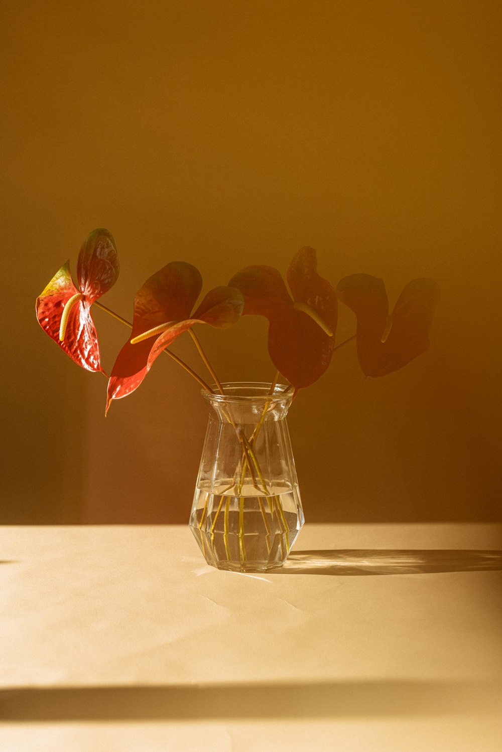 a vase filled with water and a red flower