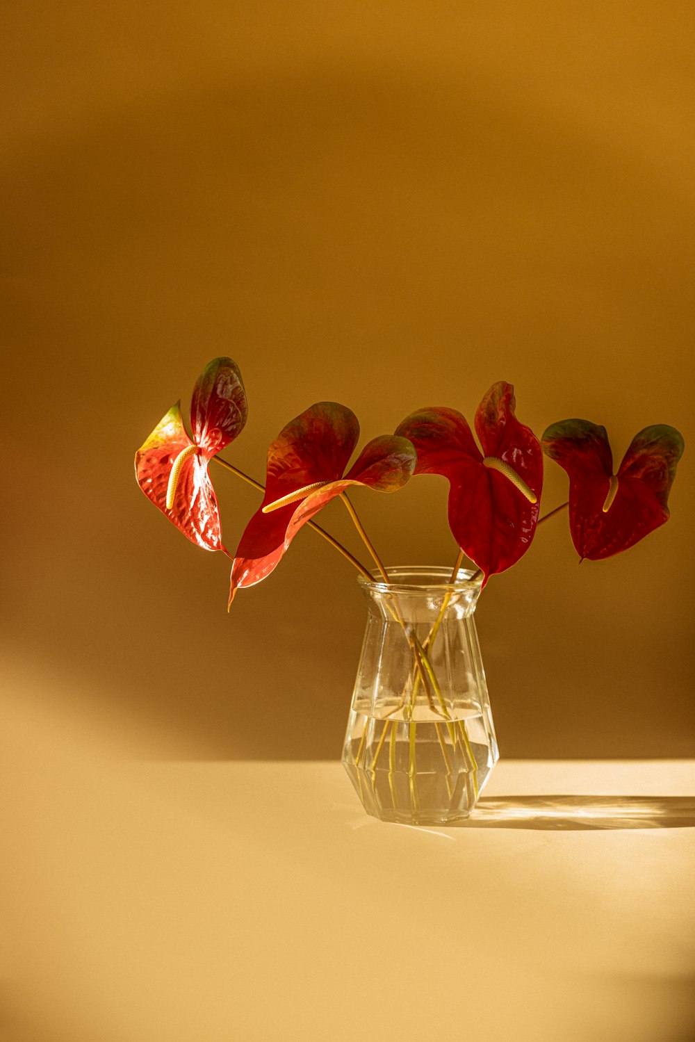 a vase filled with red flowers on top of a table