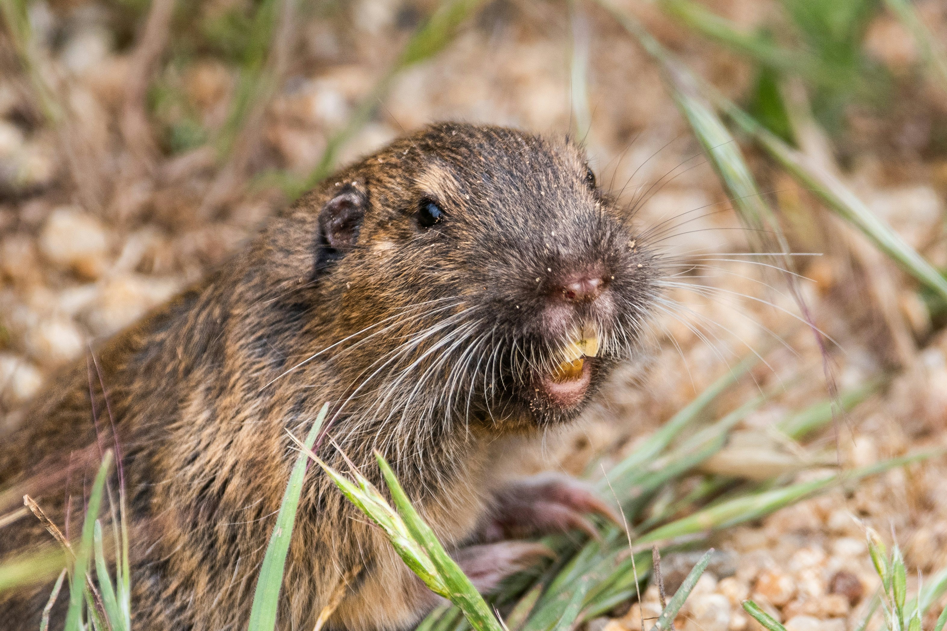 Photo by elisastonephotography