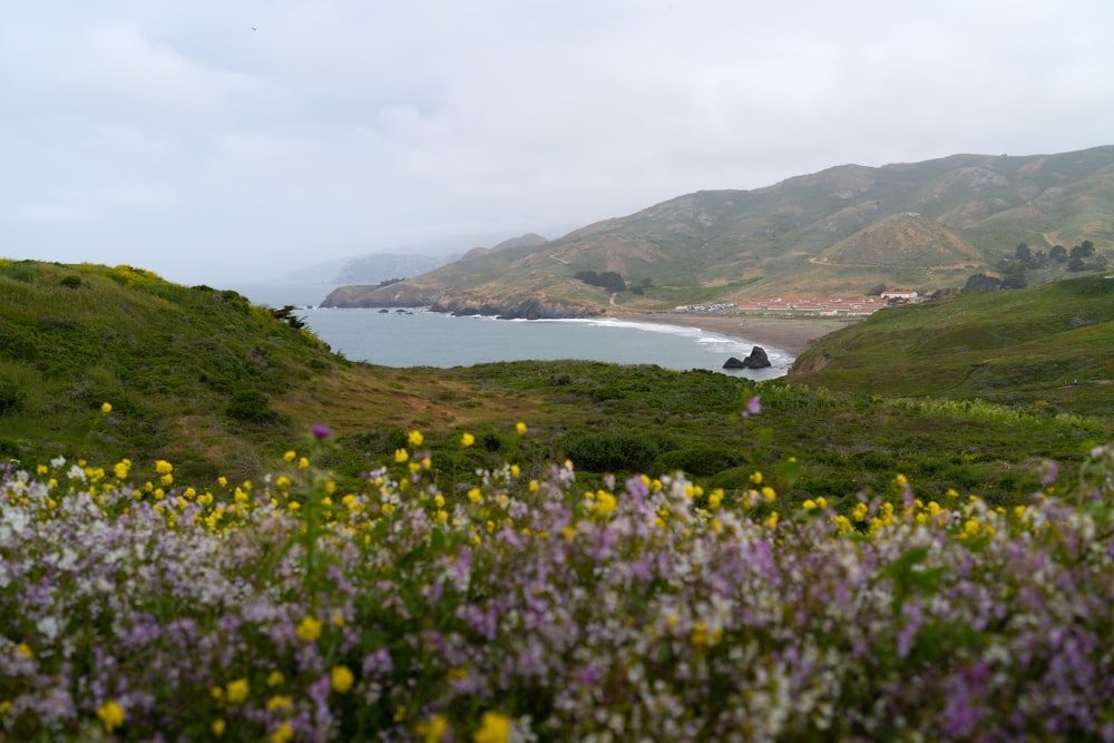 a view of a body of water from a hill