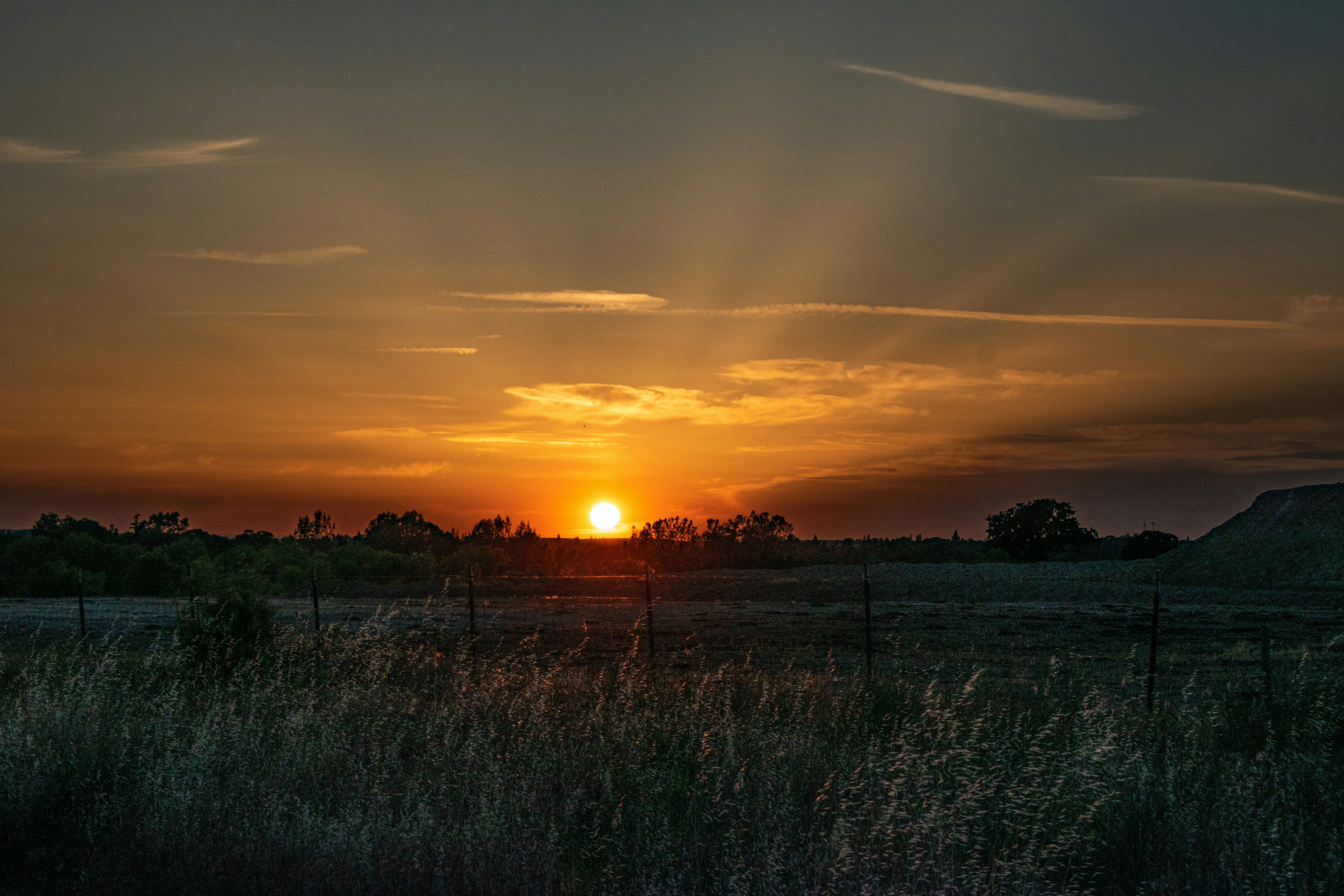 Photo by elisastonephotography