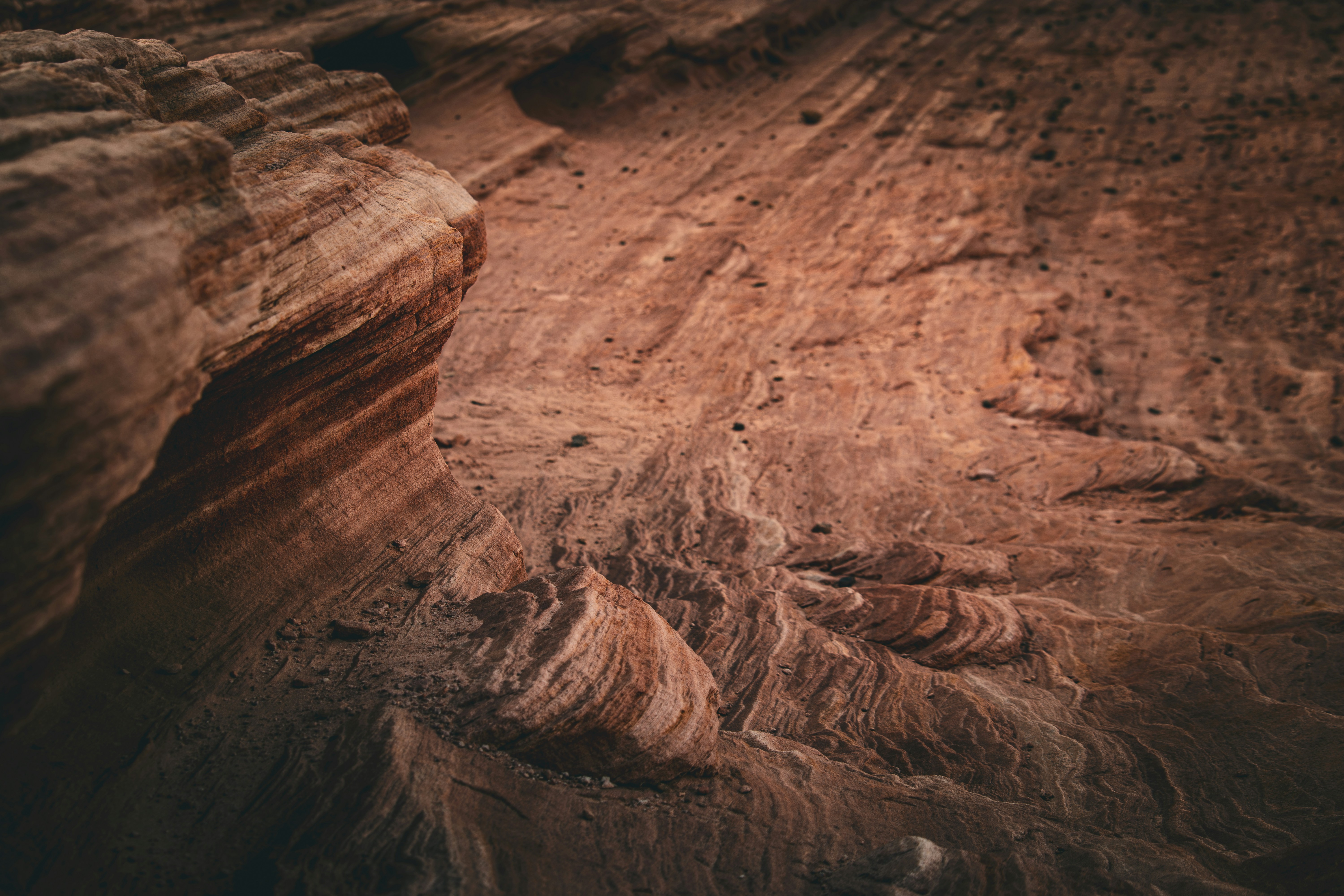 Photo by brice_cooper18