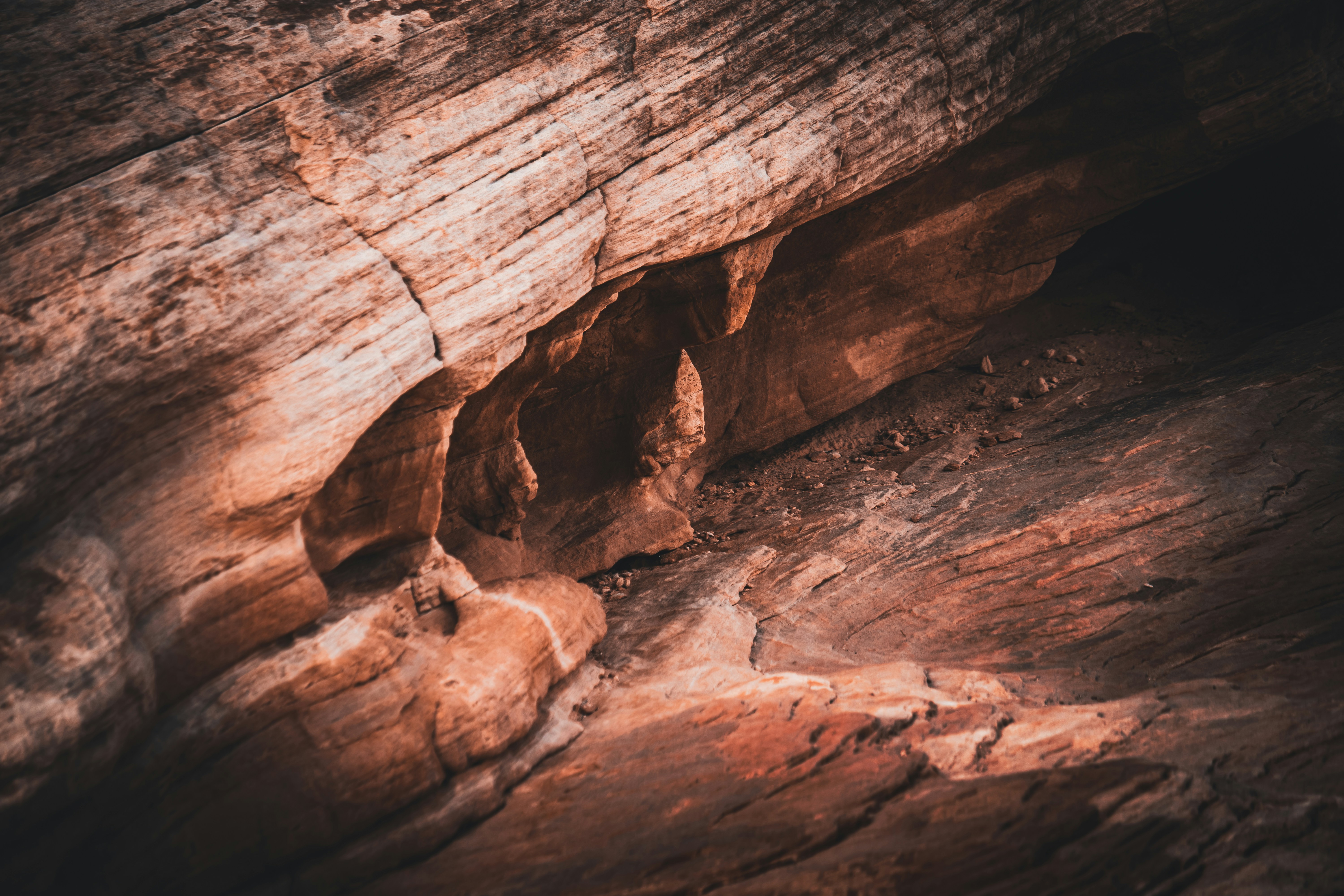 Photo by brice_cooper18