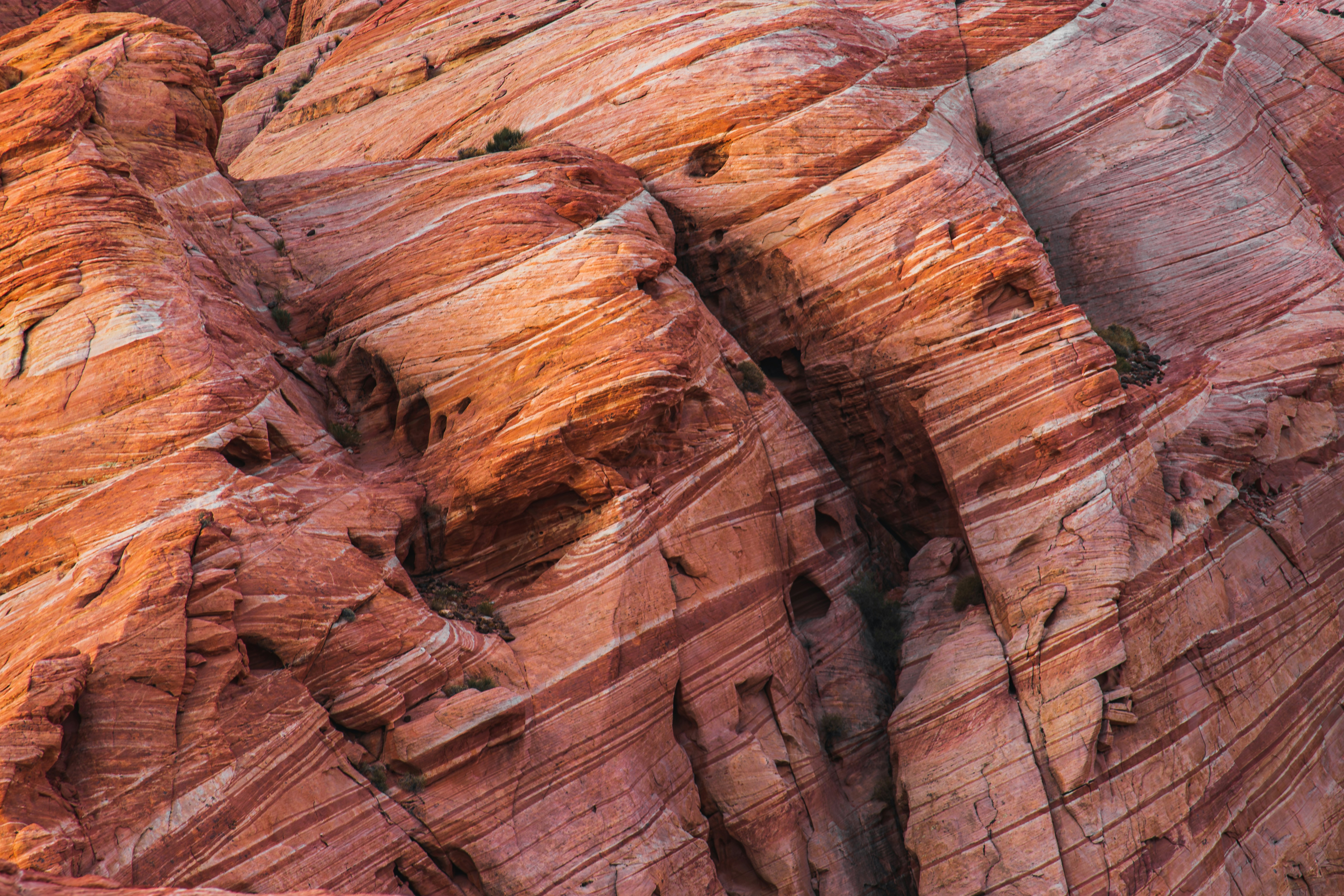 Photo by brice_cooper18