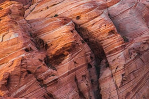Close-up of striking orange sandstone textures in Valley of Fire