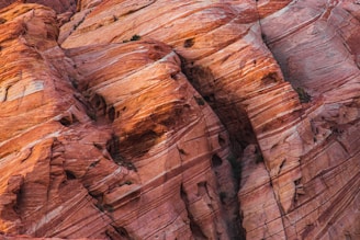 Close-up of striking orange sandstone textures in Valley of Fire