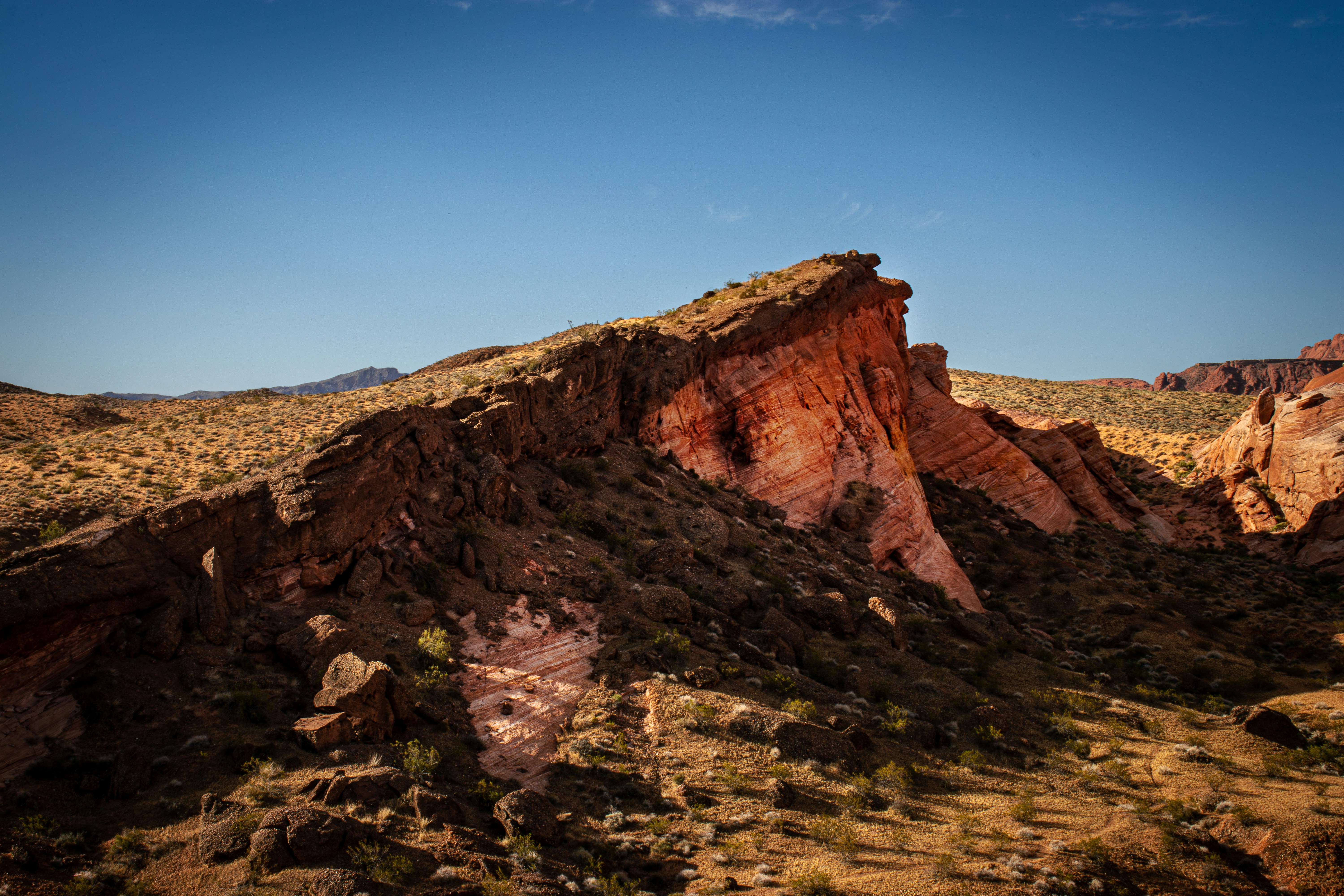 Photo by brice_cooper18