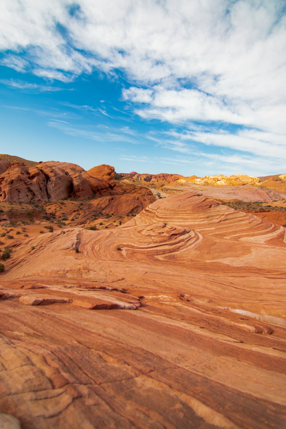 a dirt road in the middle of a desert