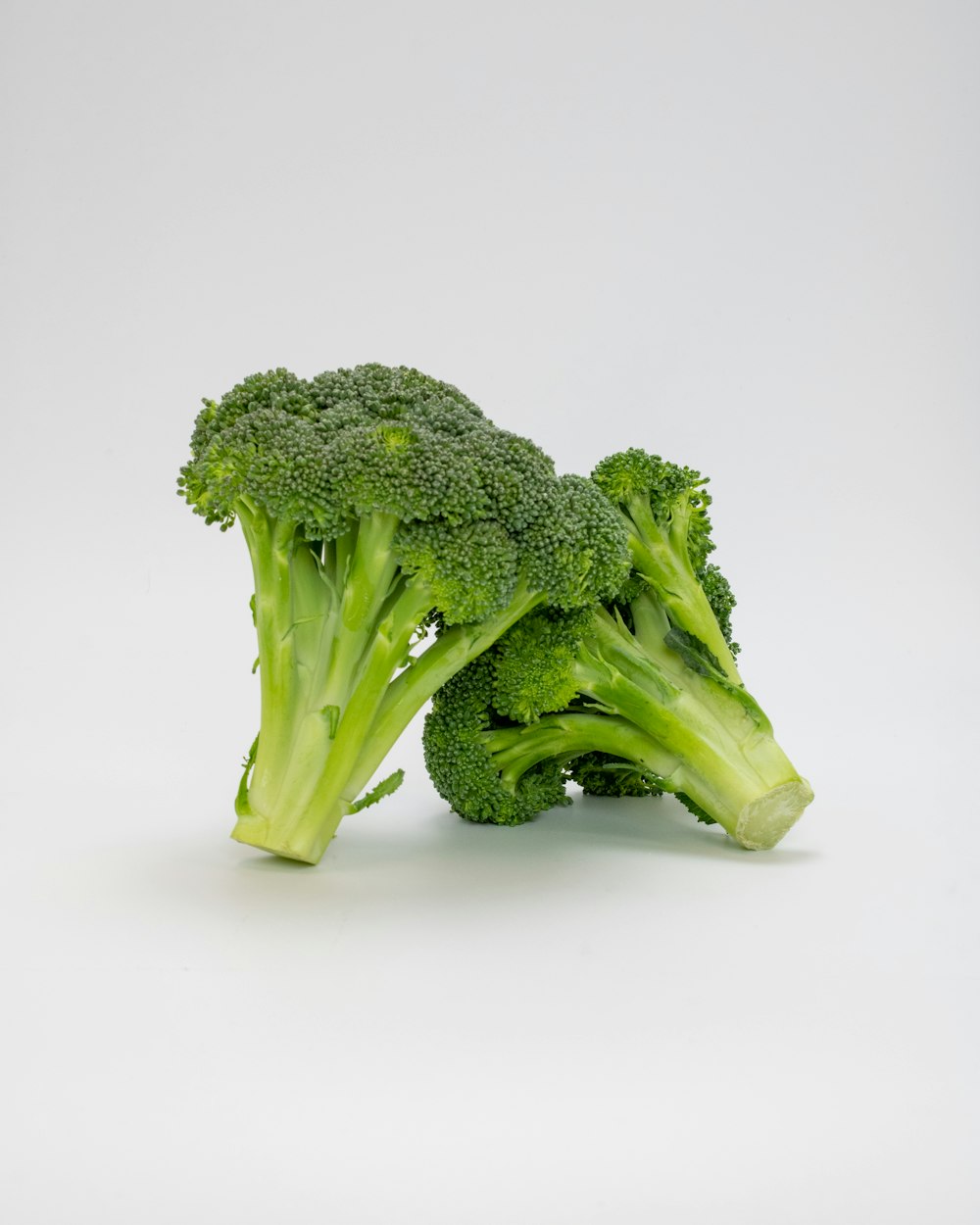 a close up of broccoli on a white background