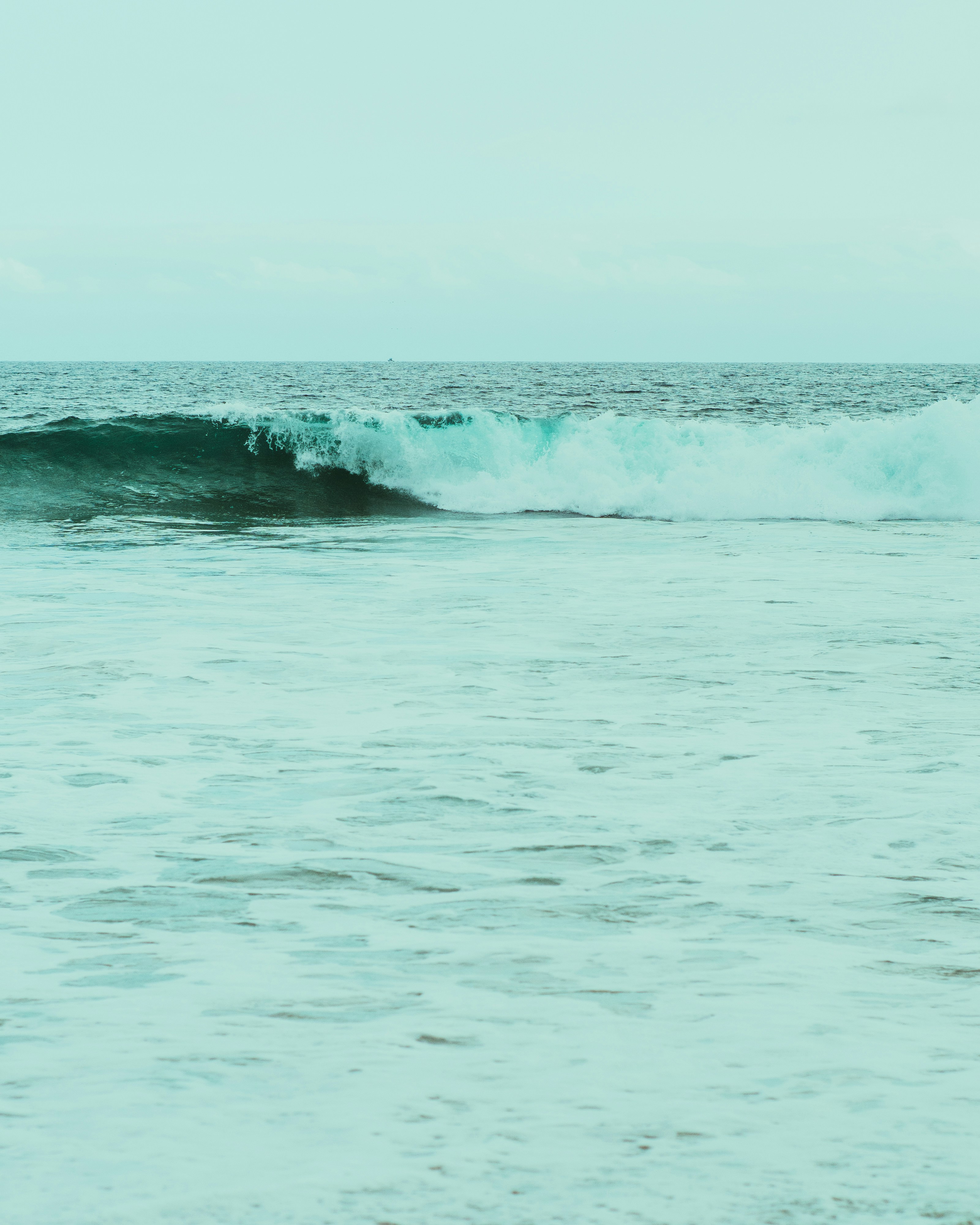 Photo by kingkonggeorge