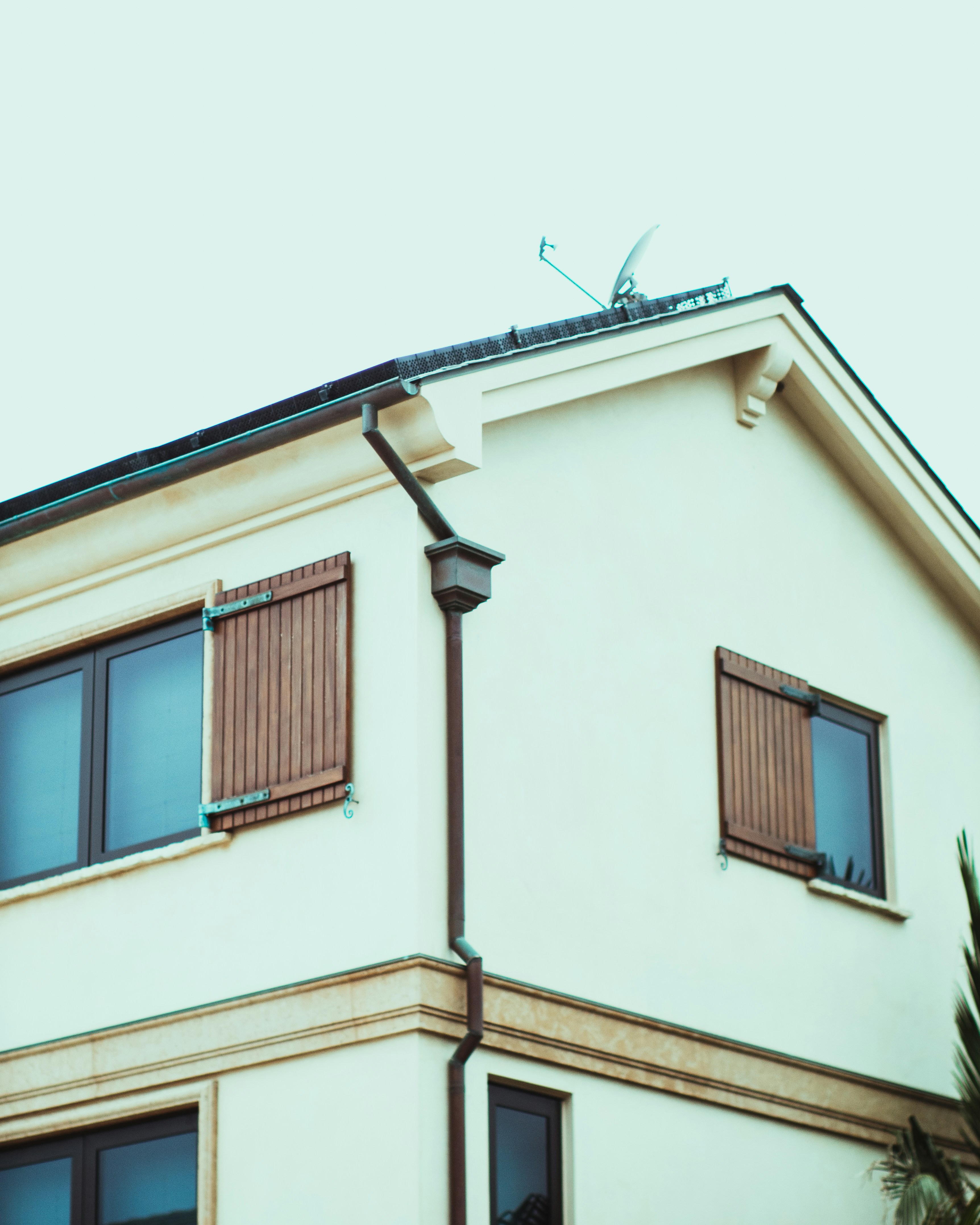 Photo by kingkonggeorge