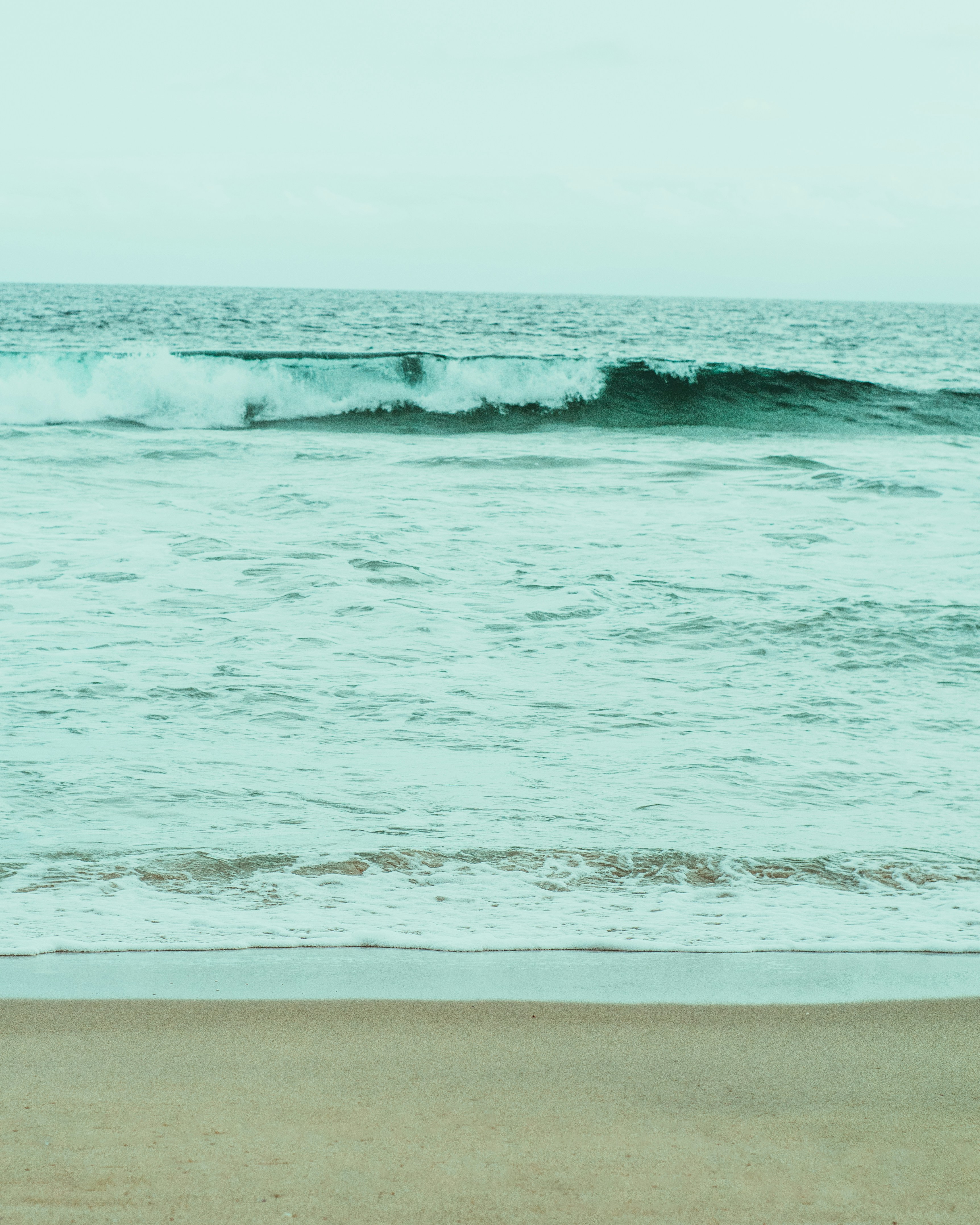 Photo by kingkonggeorge