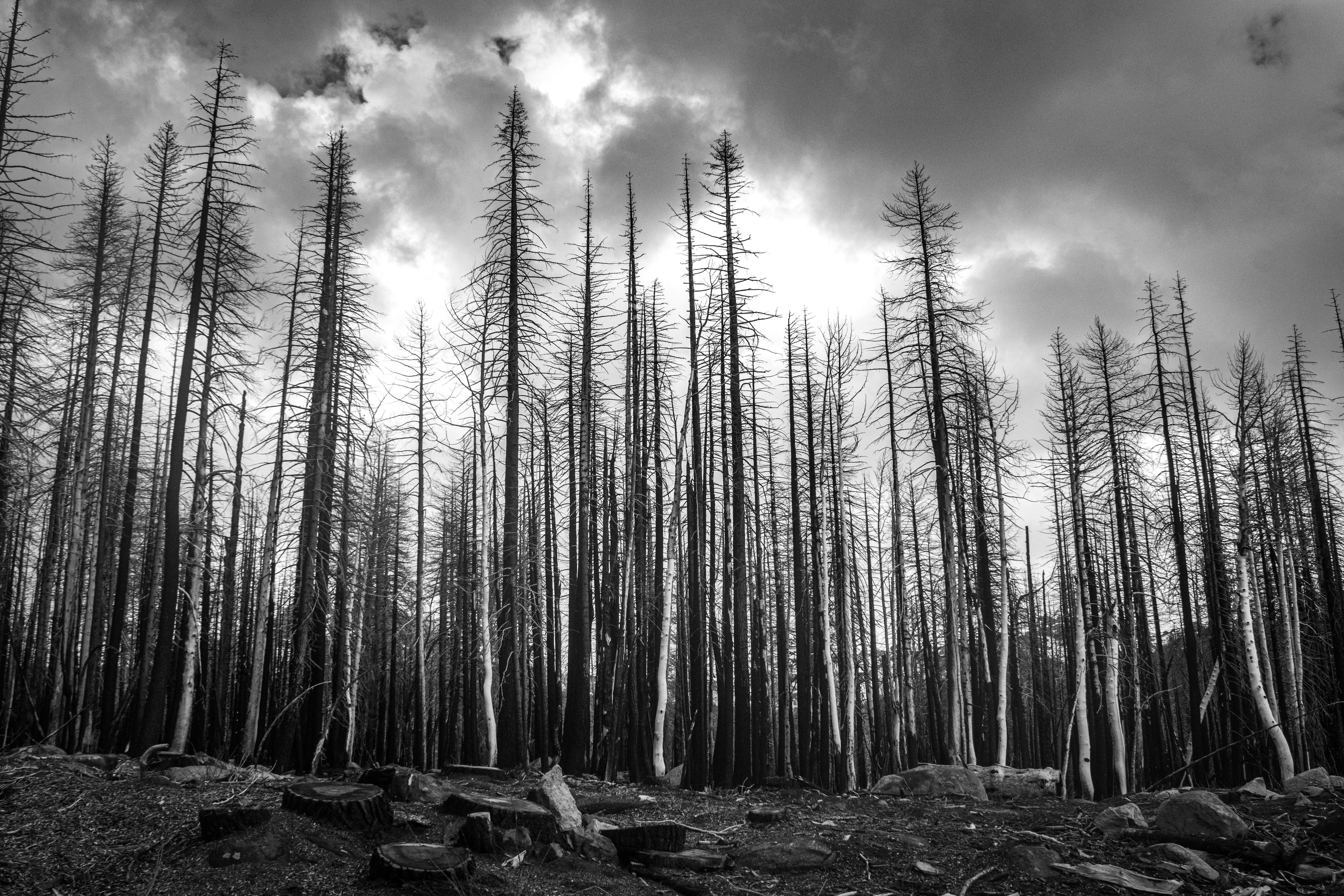 Photo by elisastonephotography