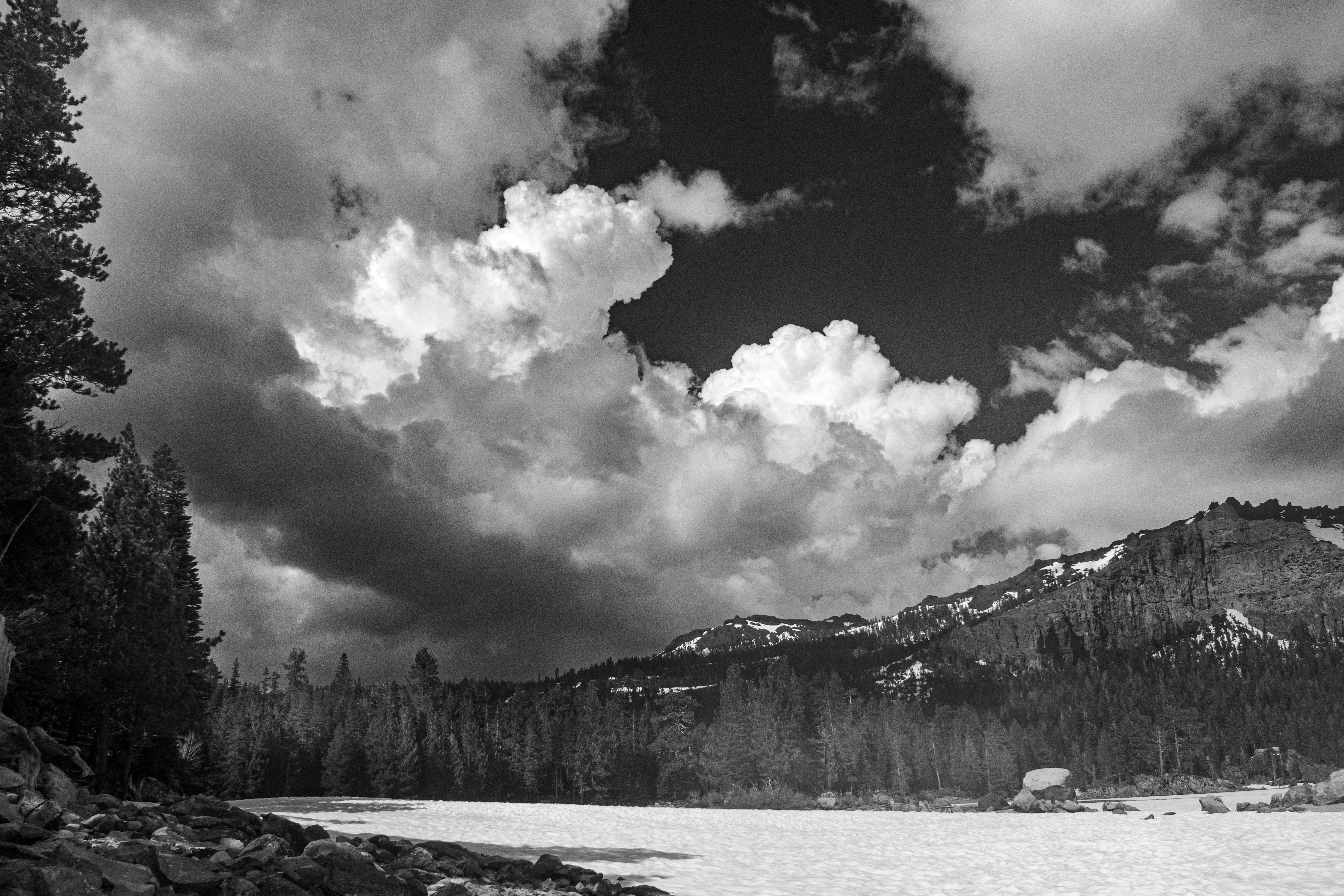 Photo by elisastonephotography