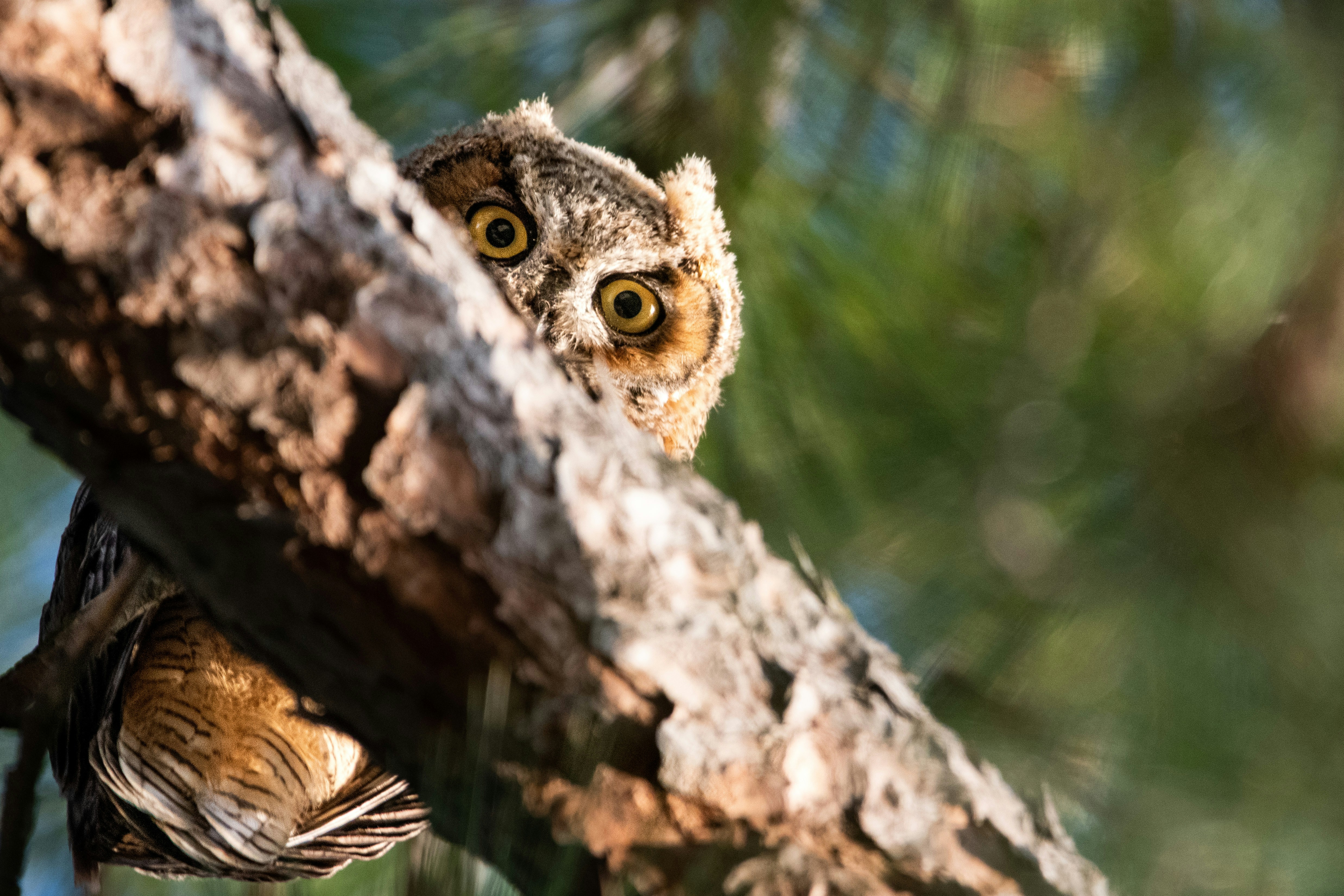 Photo by elisastonephotography