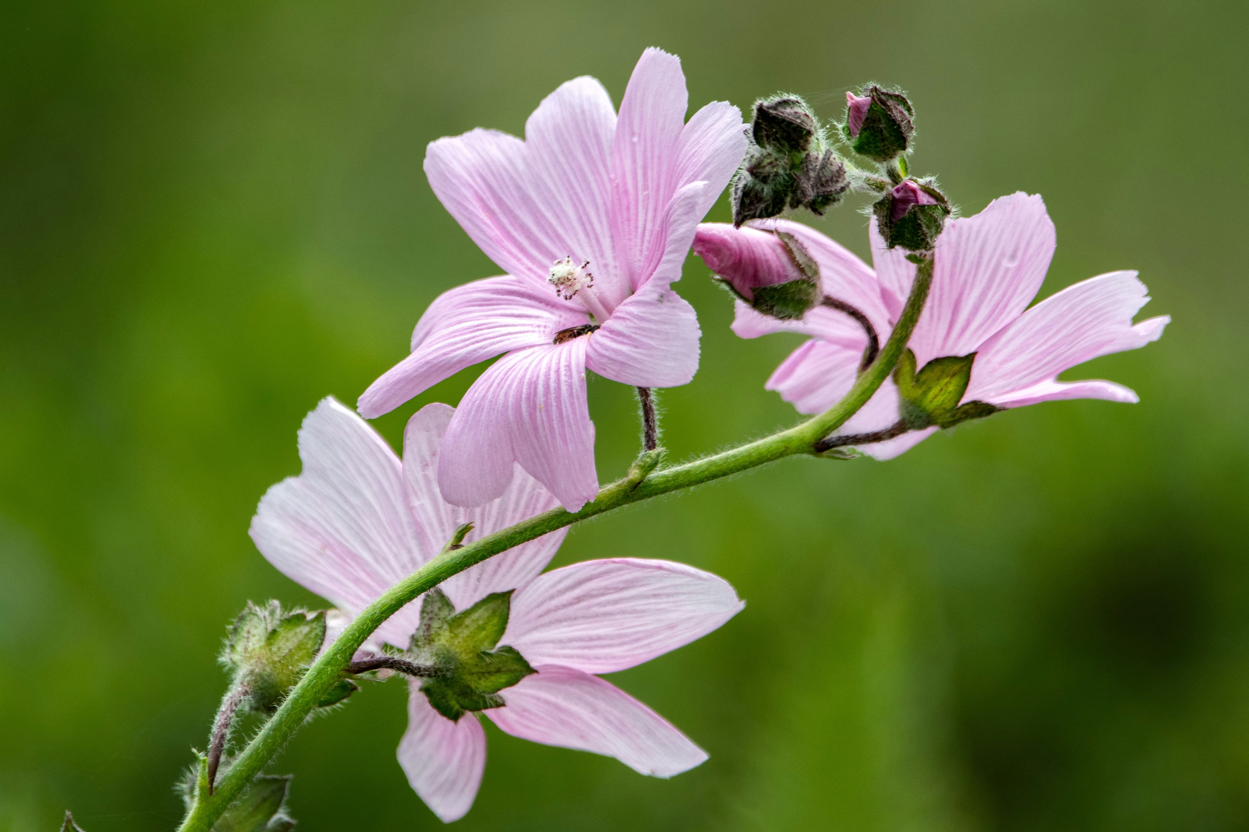 Photo by elisastonephotography