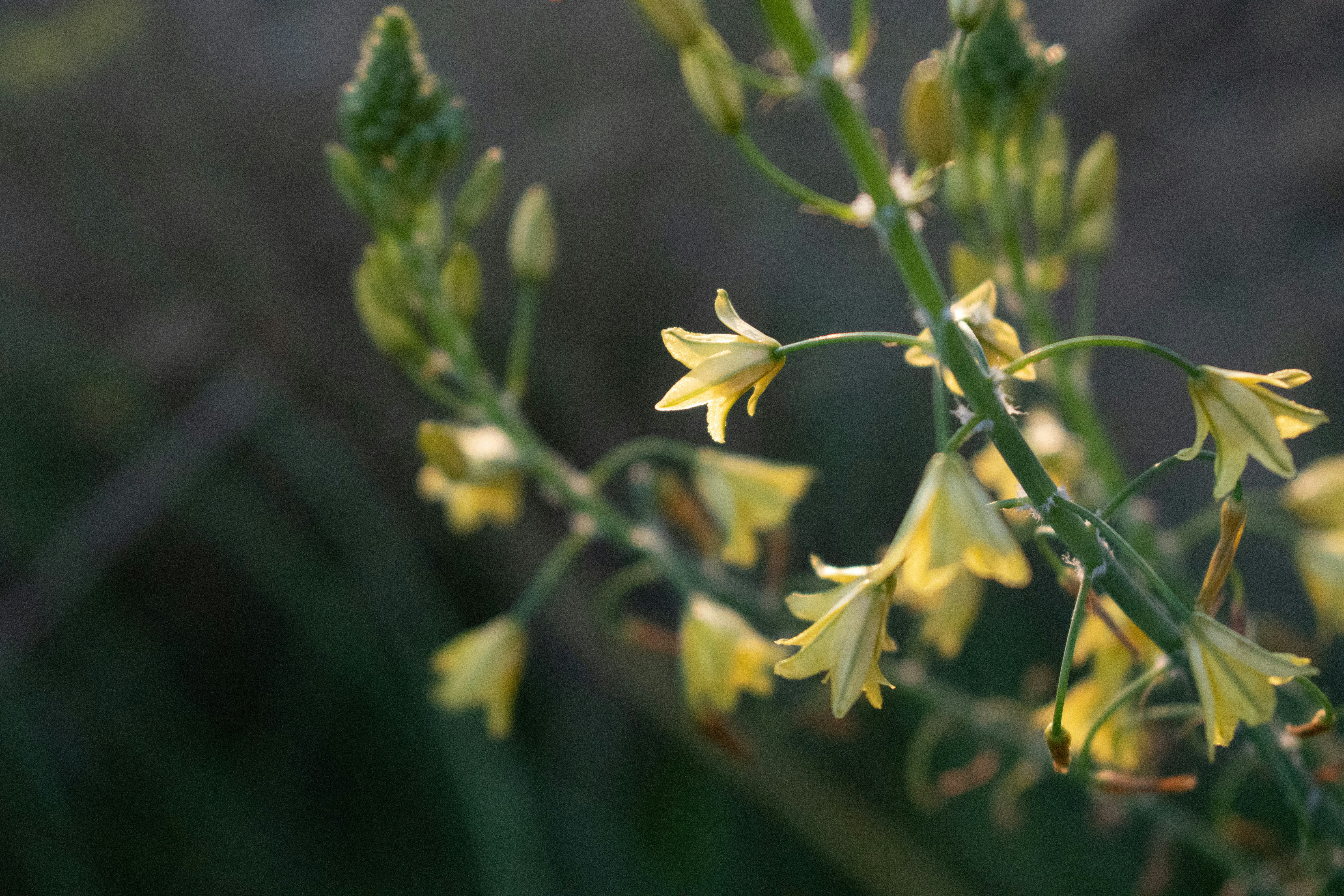 Photo by elisastonephotography