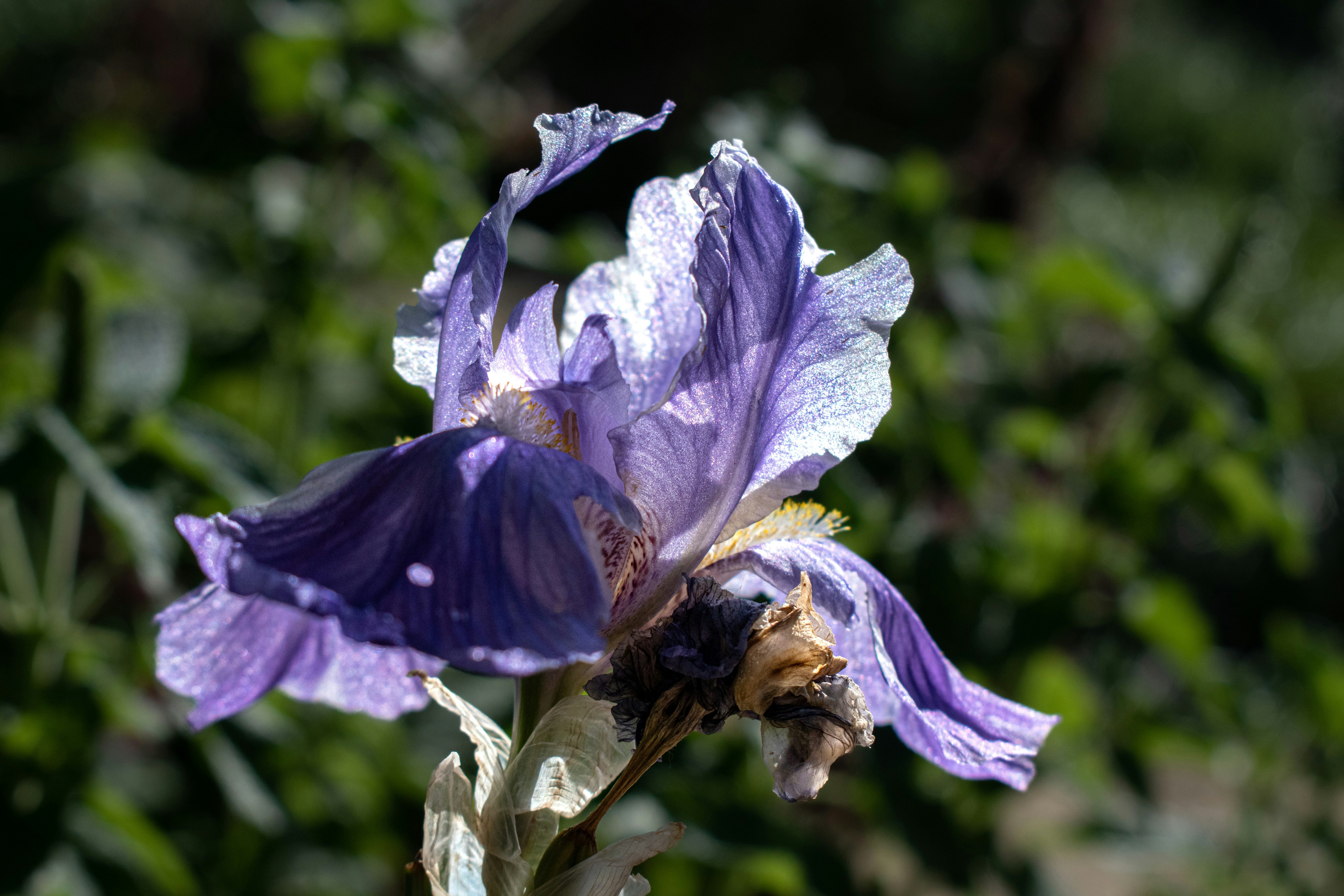 Photo by elisastonephotography