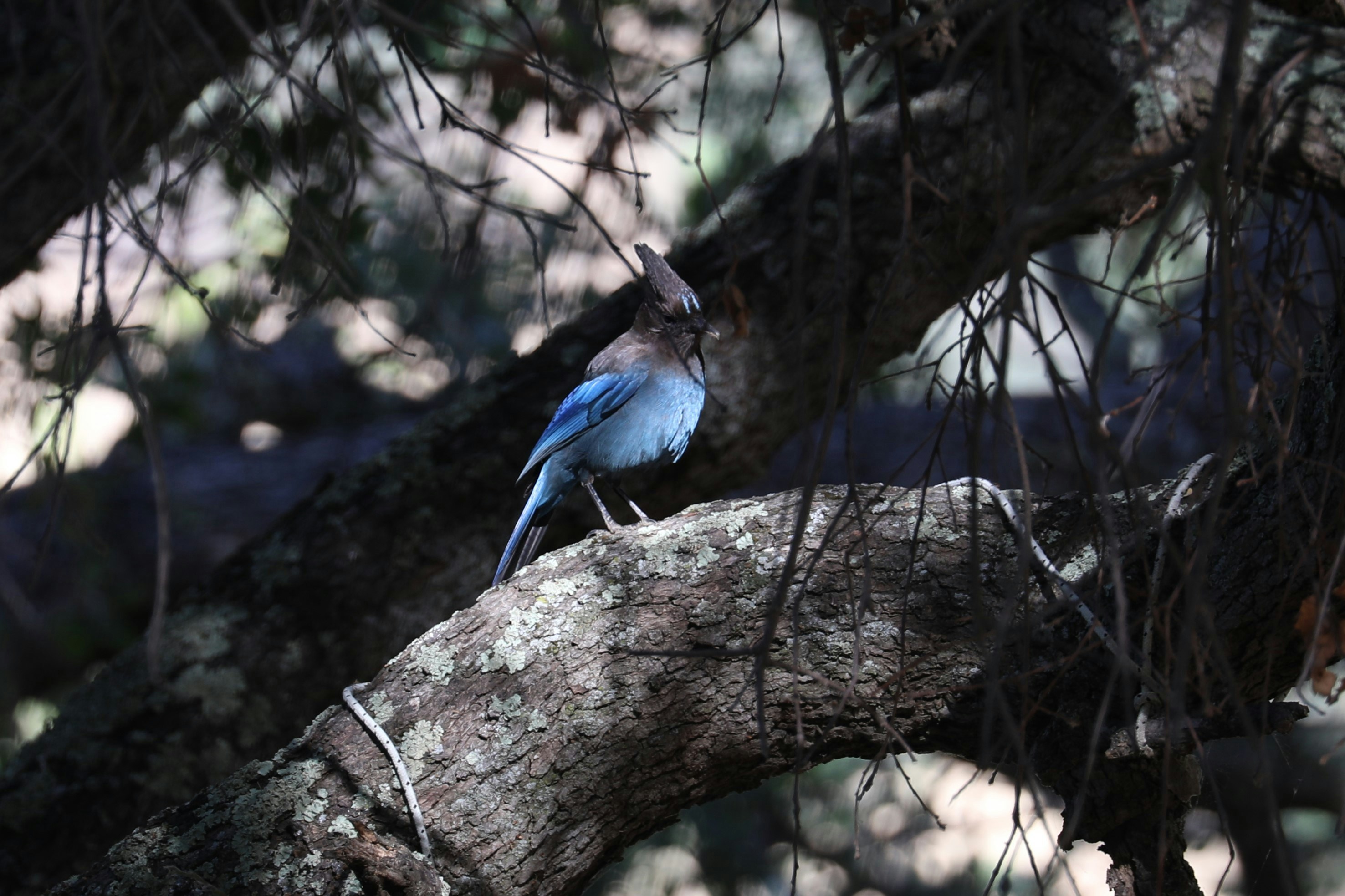 Photo by thomasaquinas