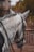 A close-up of the side and back of a white horse's head and neck. The horse has its mane styled in small, neat braids, and is wearing a bridle. The background shows a structure, possibly a stable, with foliage and a wooden fence.