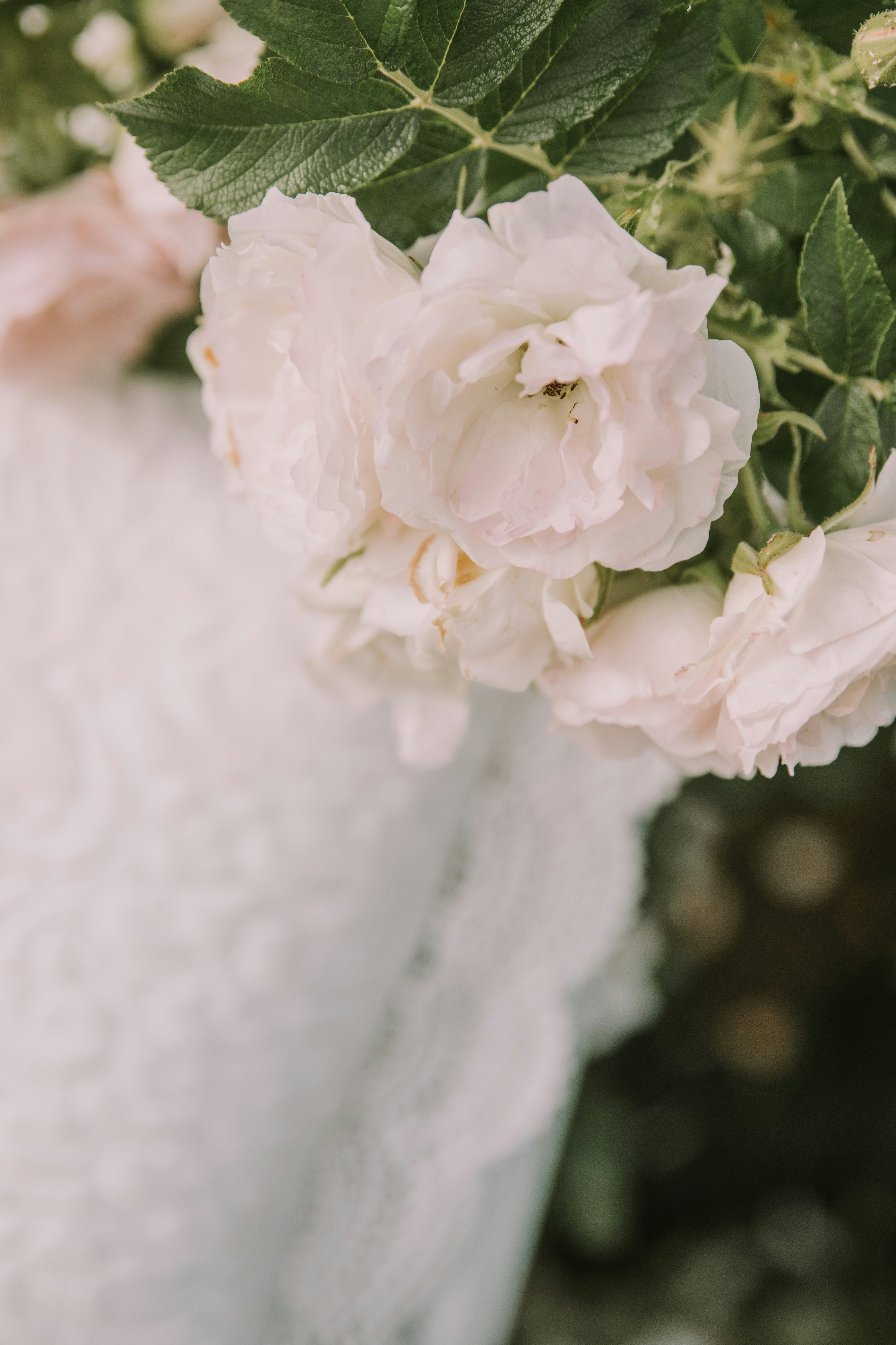 Photo by anitaaustvika