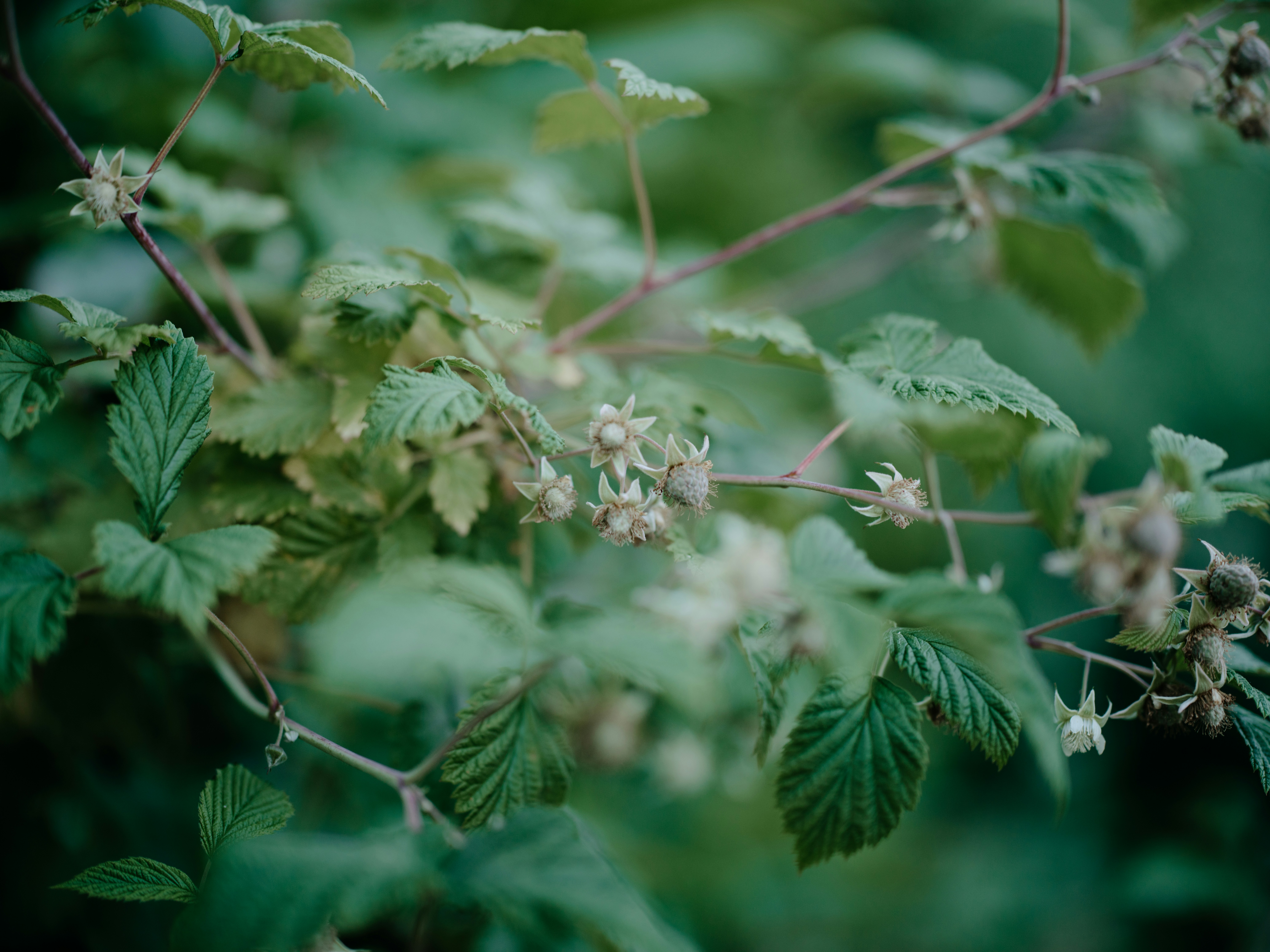 Photo by anniespratt