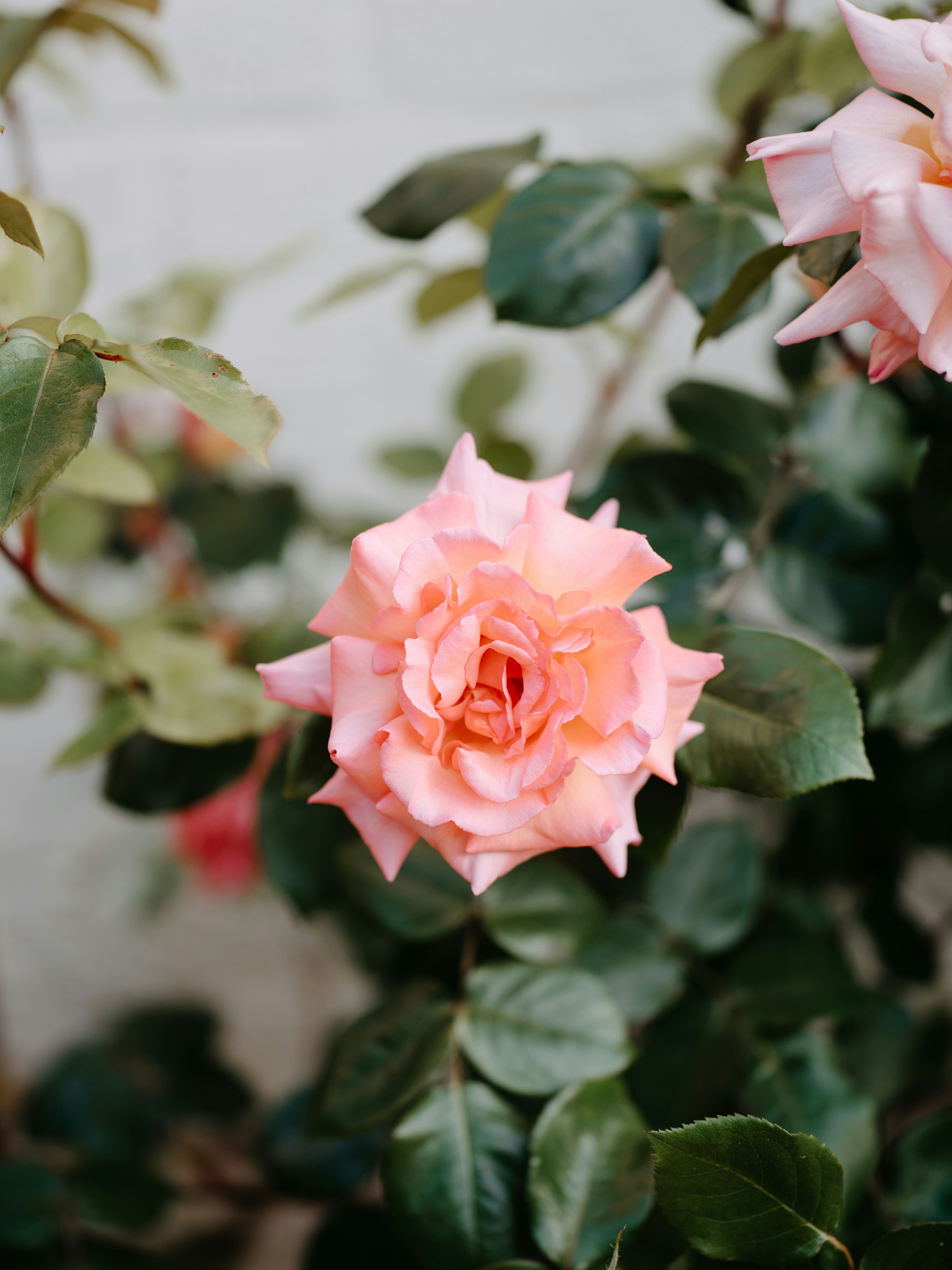 Photo by anniespratt