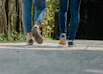 a couple of people walking down a street
