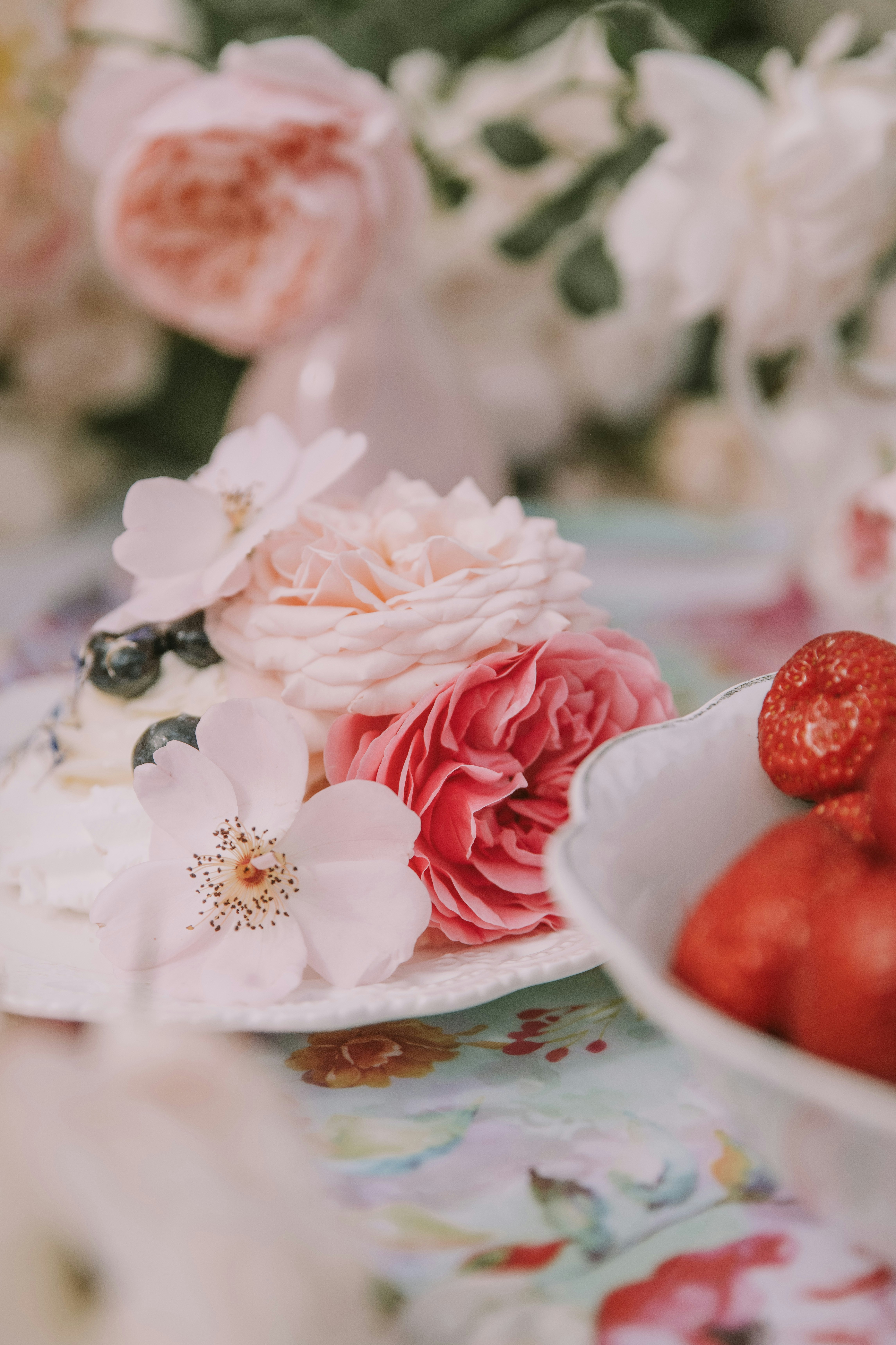 Photo by anitaaustvika