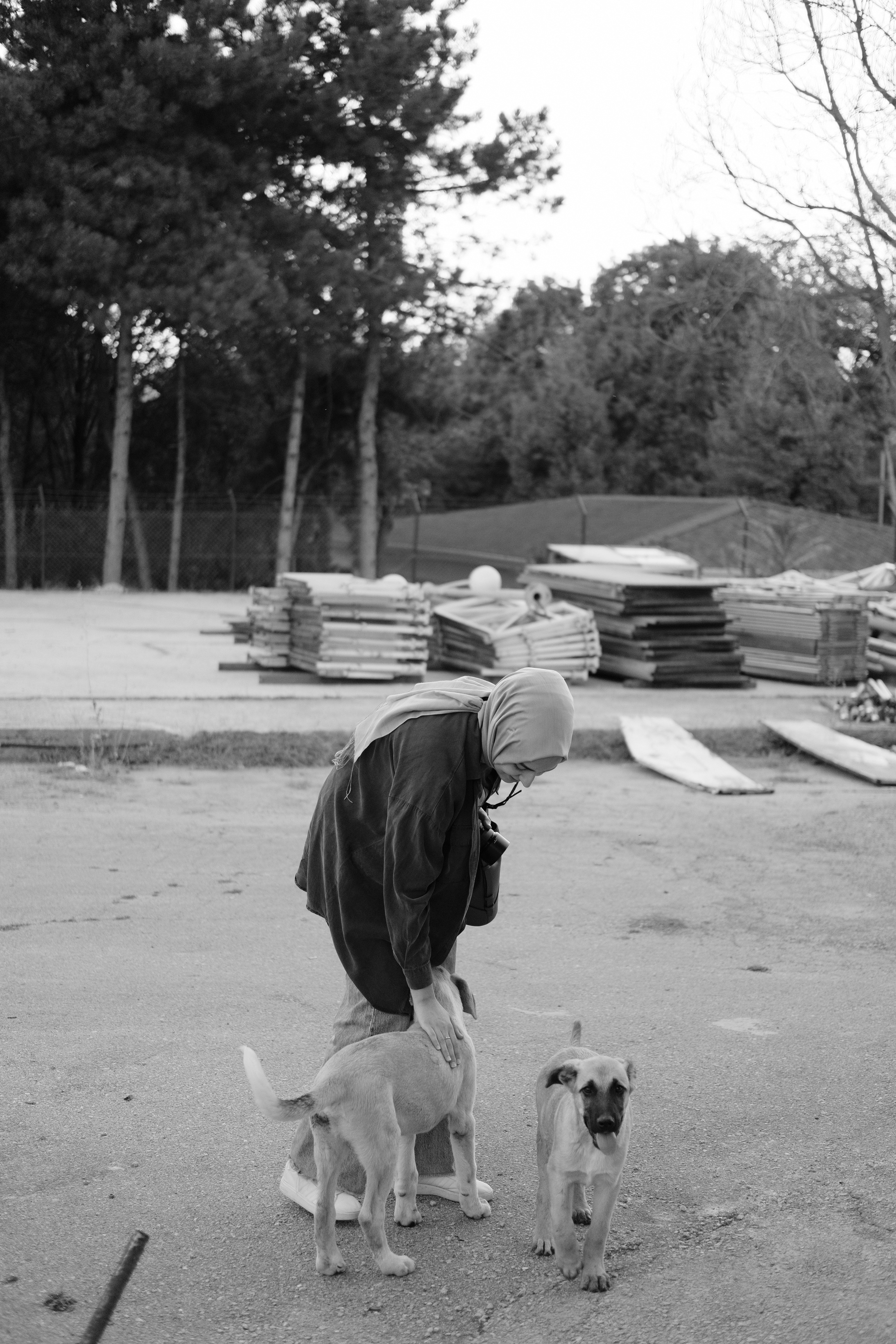 a black and white photo of a man with two dogs