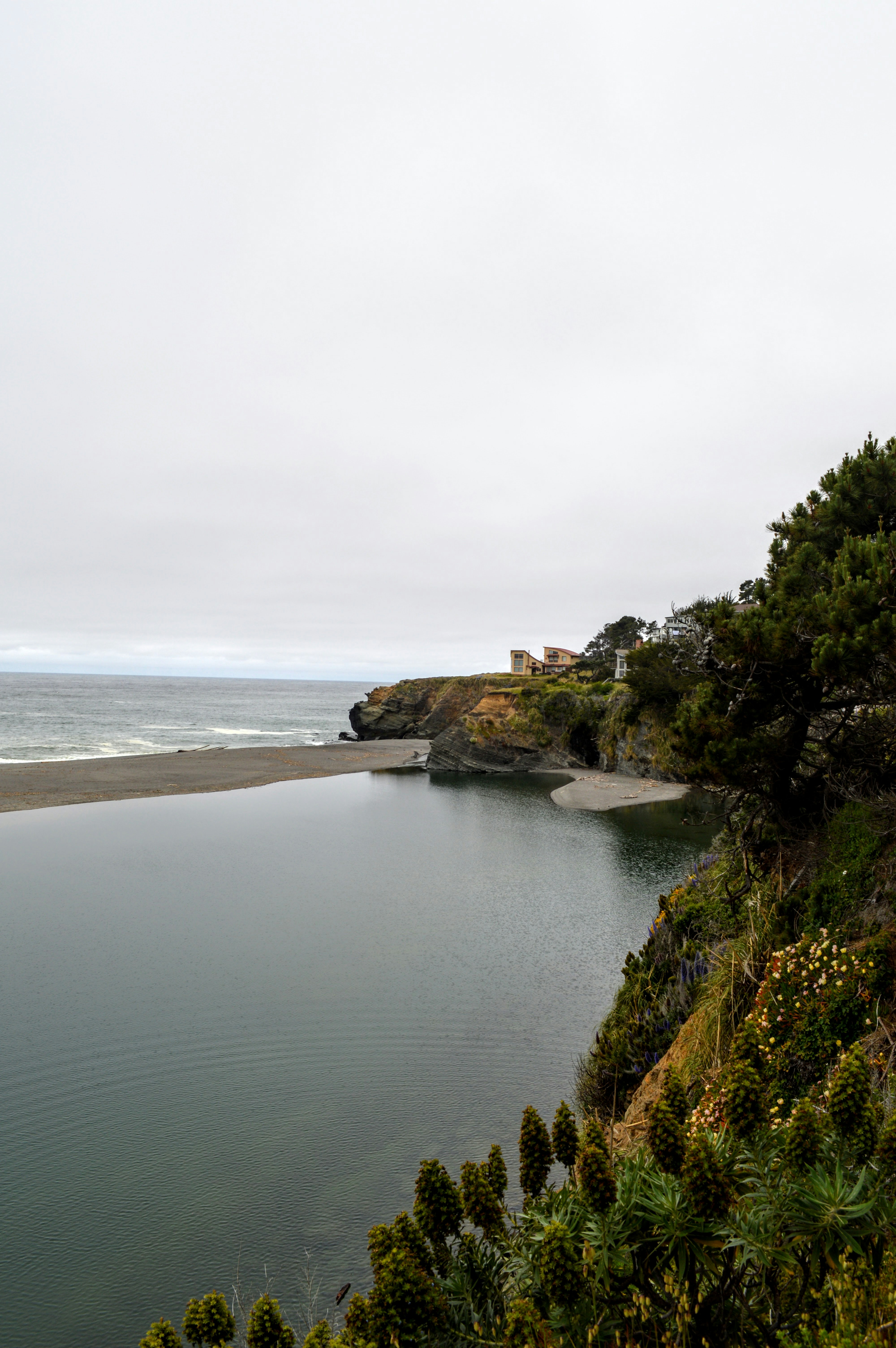 a large body of water surrounded by trees