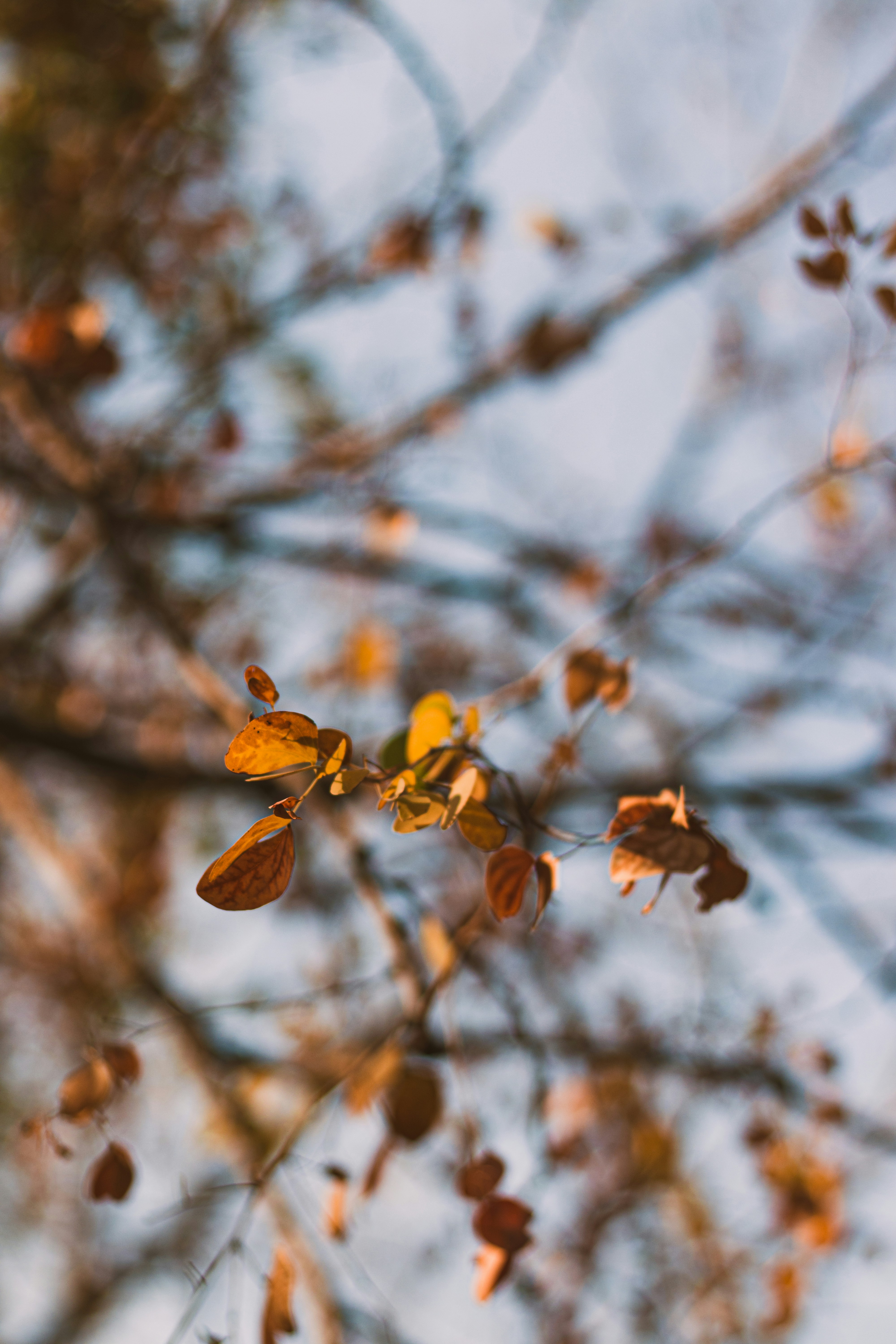 Photo by dhilipantony