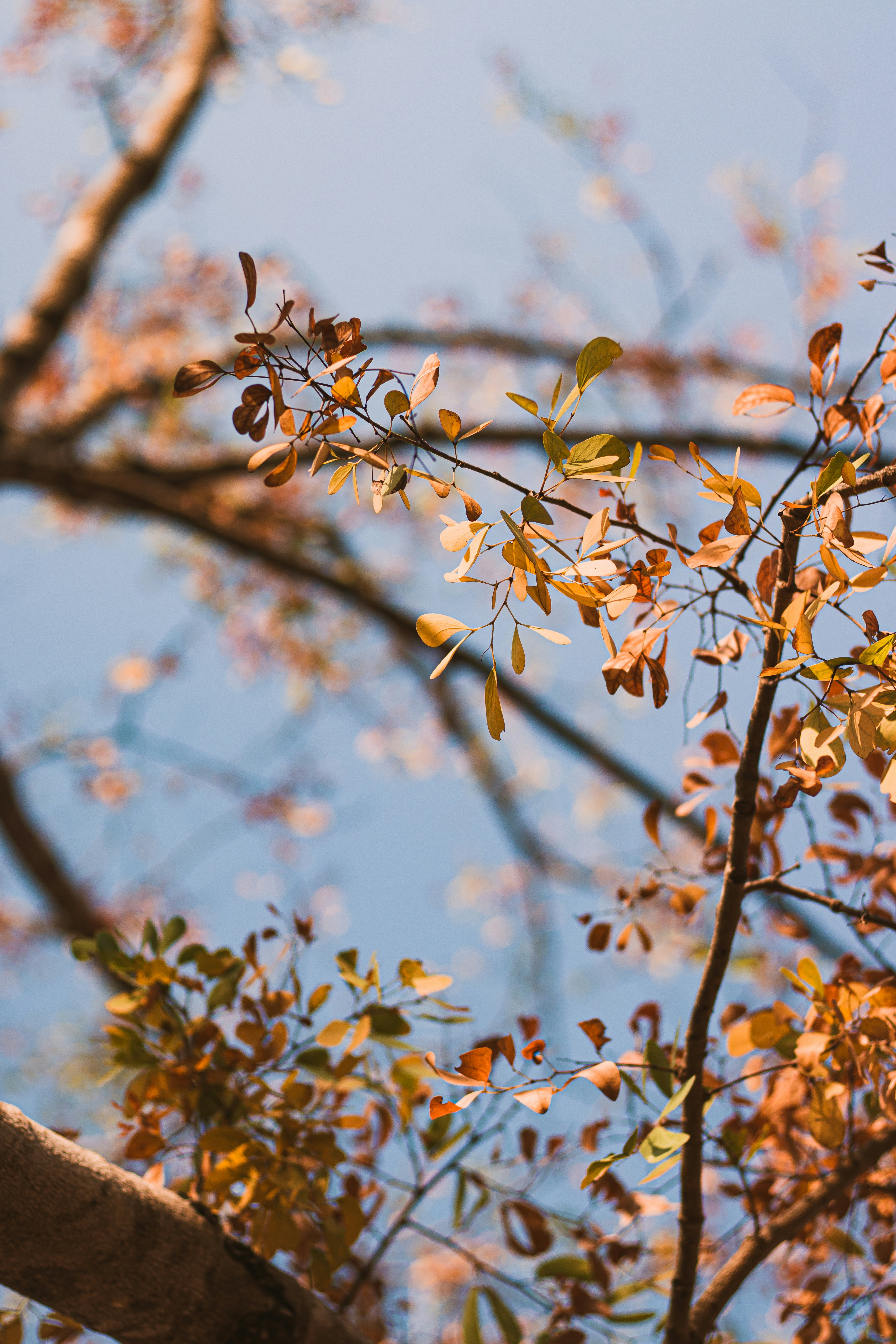 Photo by dhilipantony