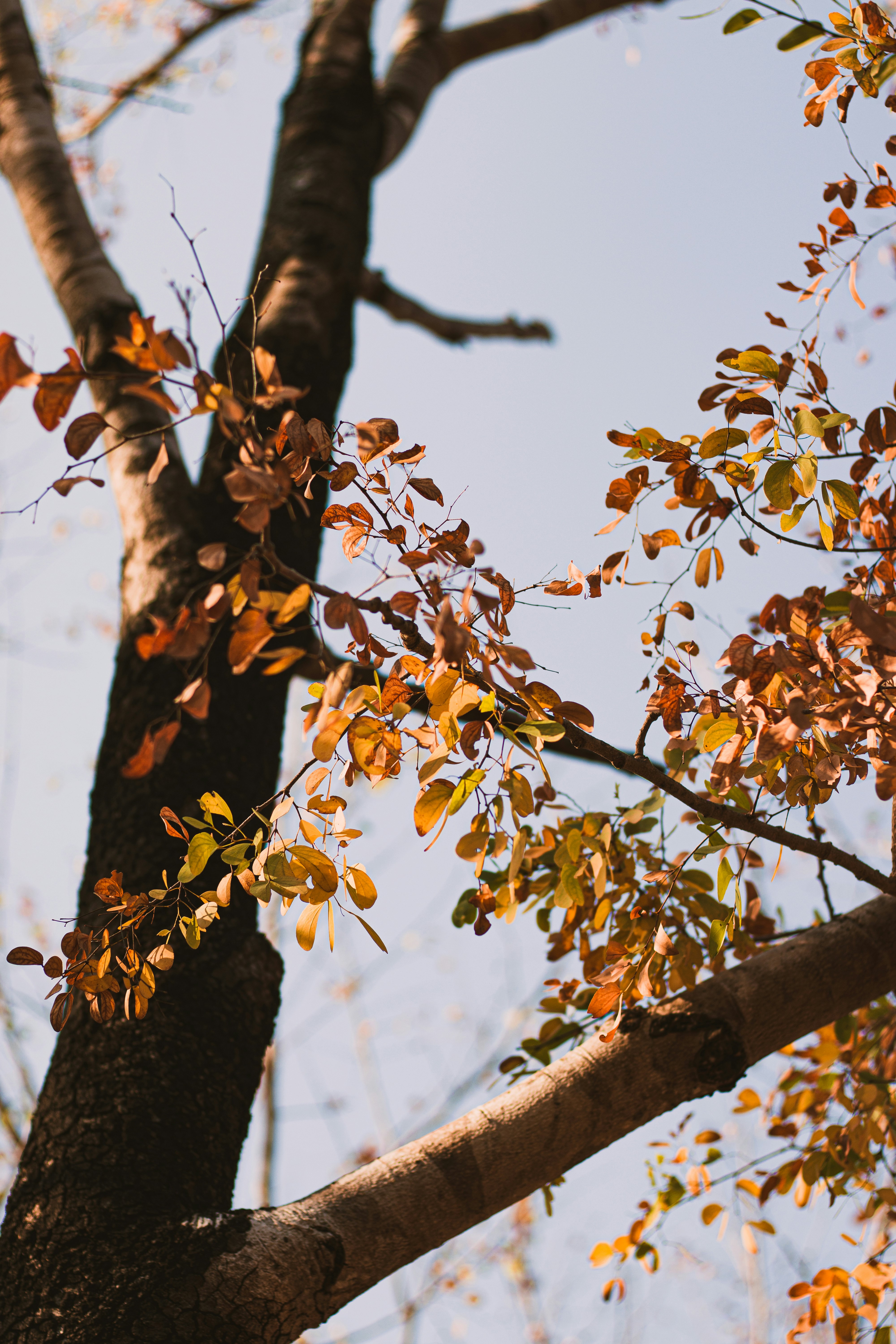 Photo by dhilipantony