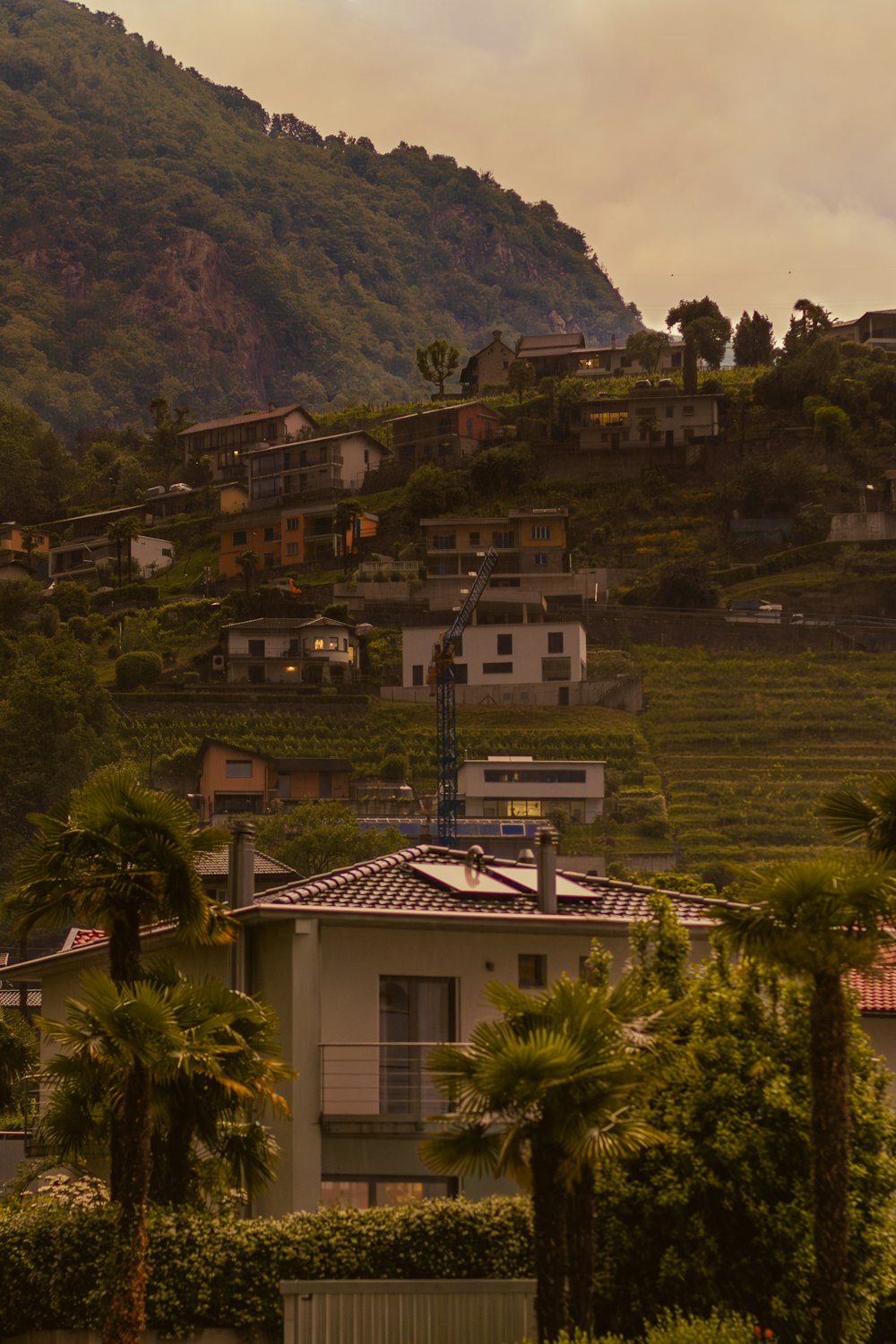 a view of a hillside with houses on it