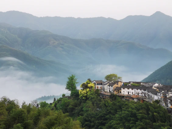 A serene village nestled among rolling tea gardens with traditional homes and misty mountain views.