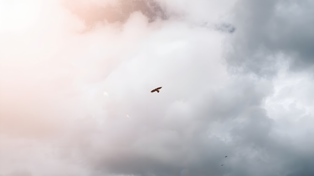 a bird flying through a cloudy sky on a sunny day