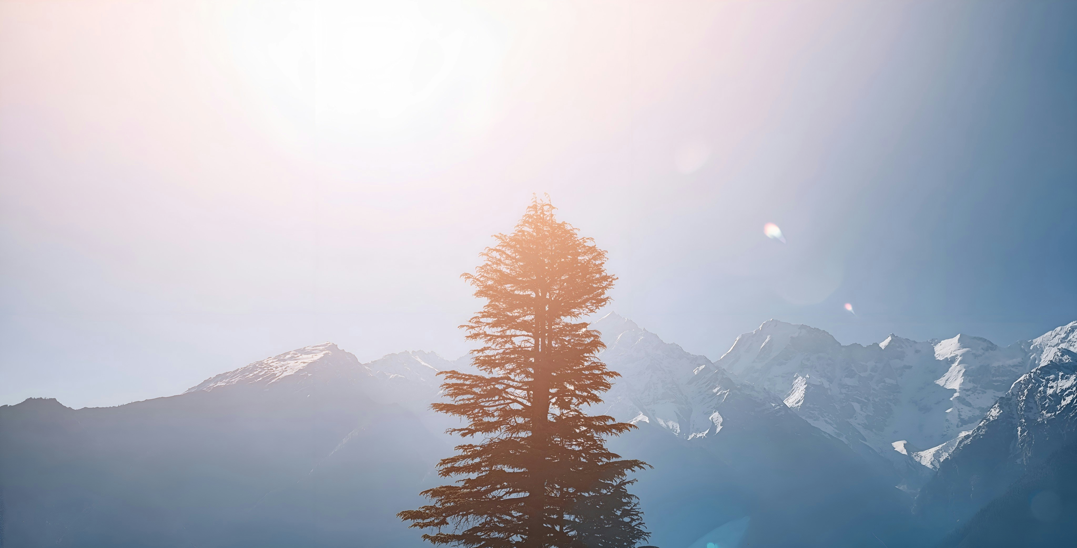 Photo by jashsojitra