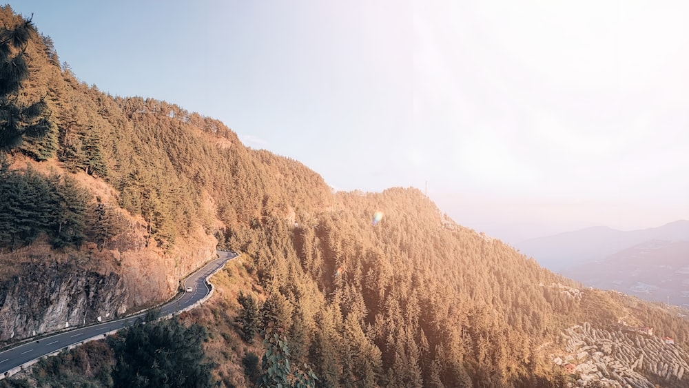 a winding road in the mountains surrounded by trees