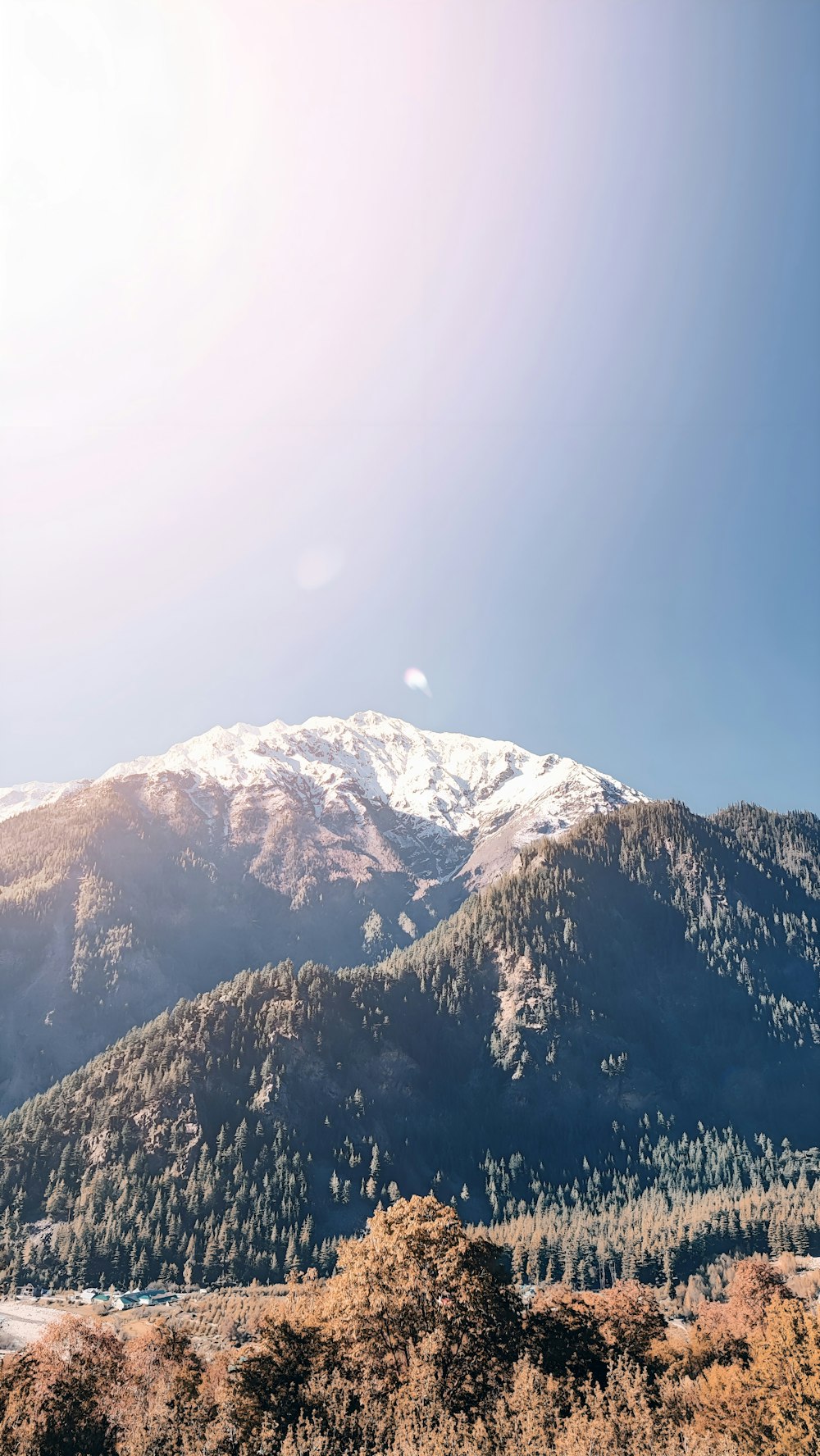 a view of a snowy mountain range with trees in the foreground