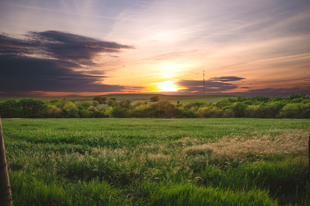 the sun is setting over a field of grass