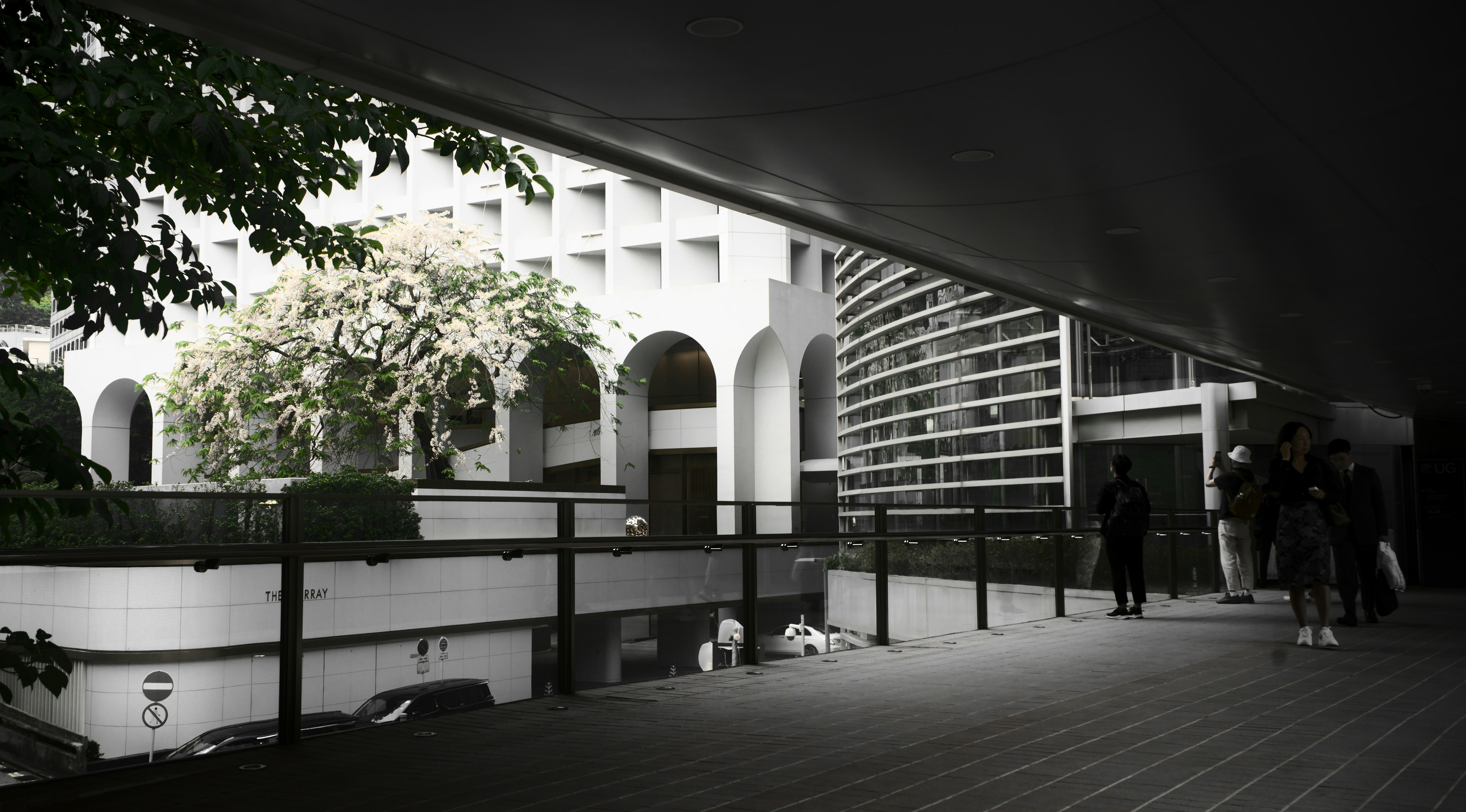 Photo by darklight2021