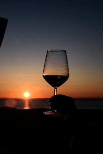 a person holding a wine glass with a sunset in the background