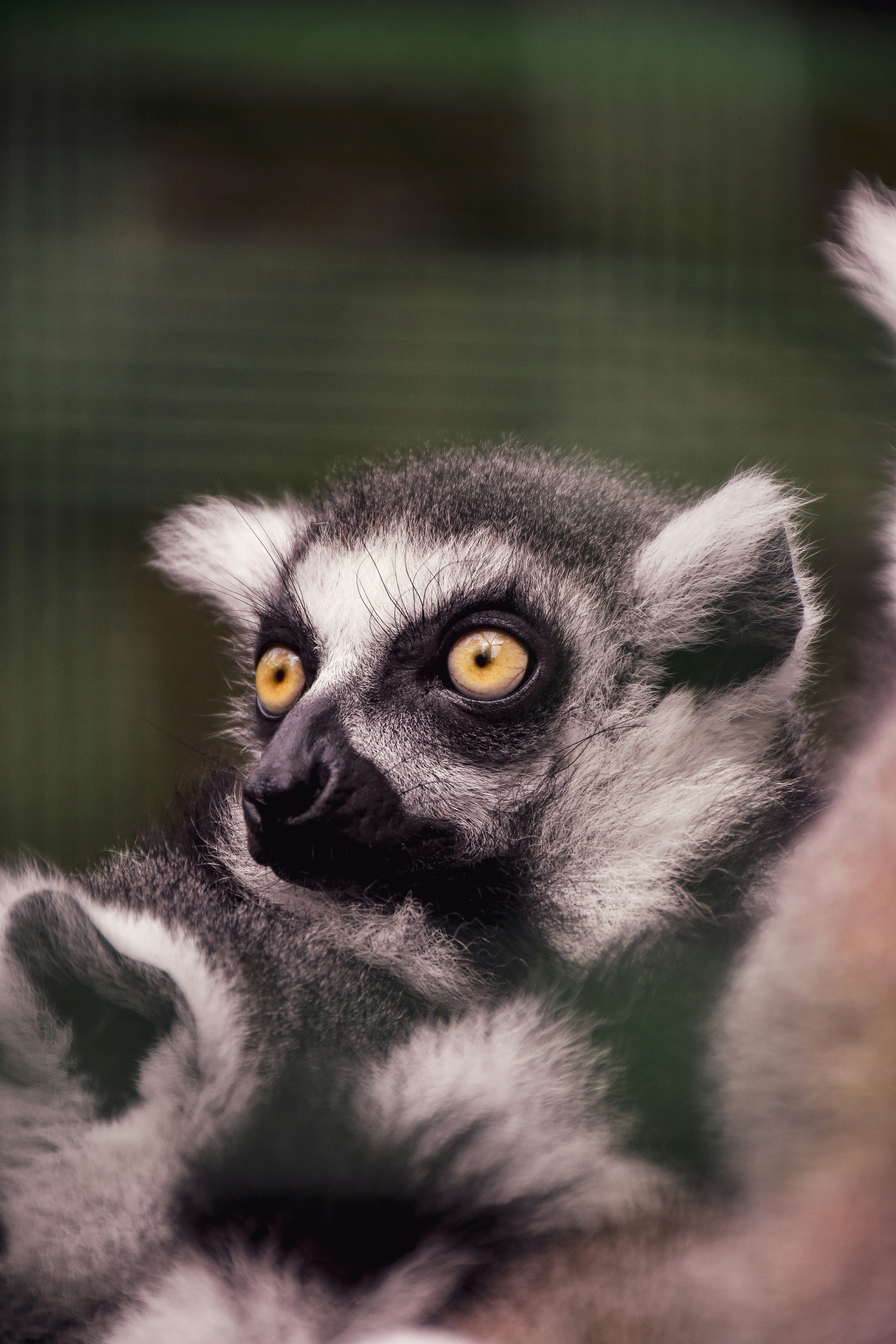 Photo by artem_makarov