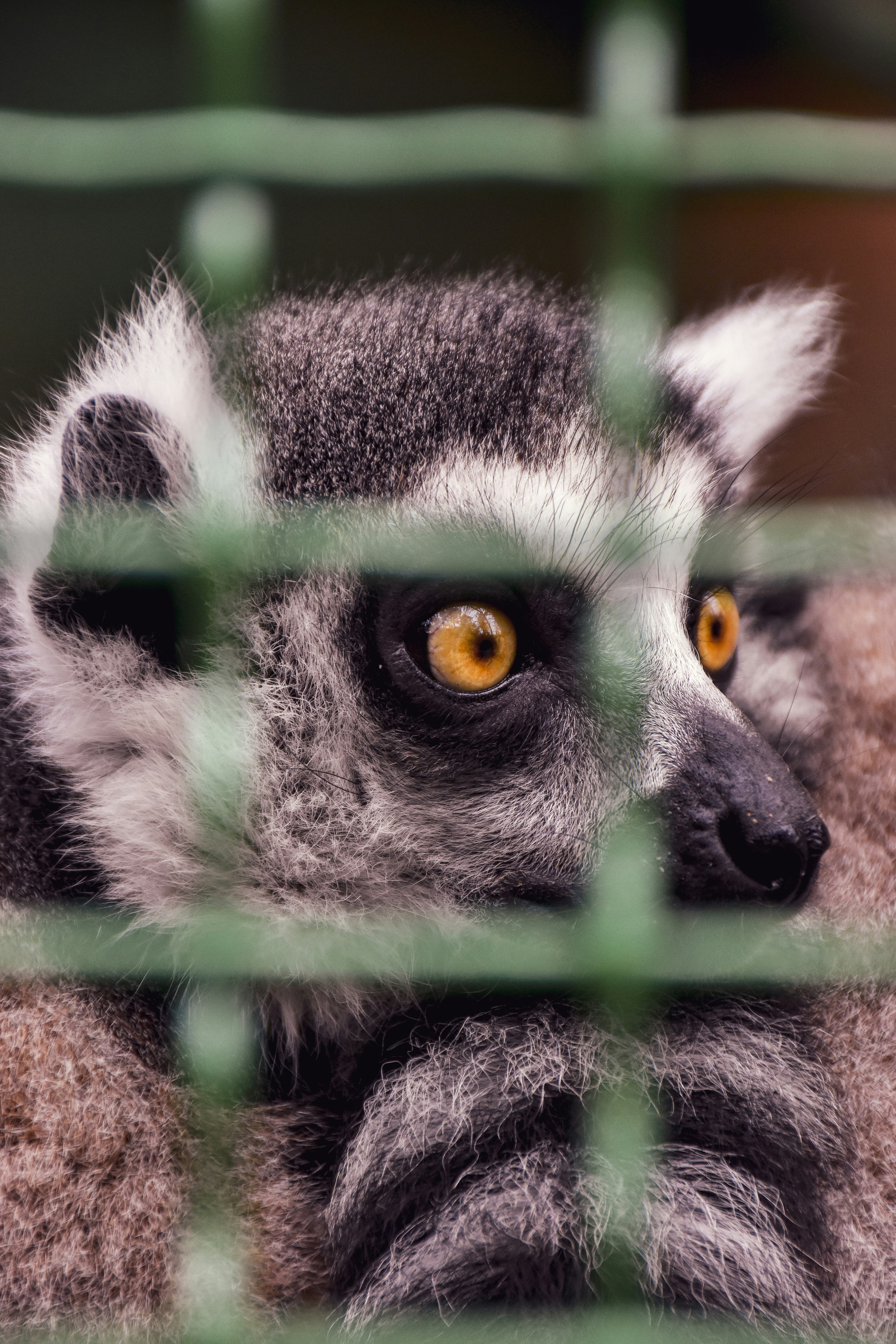 Photo by artem_makarov