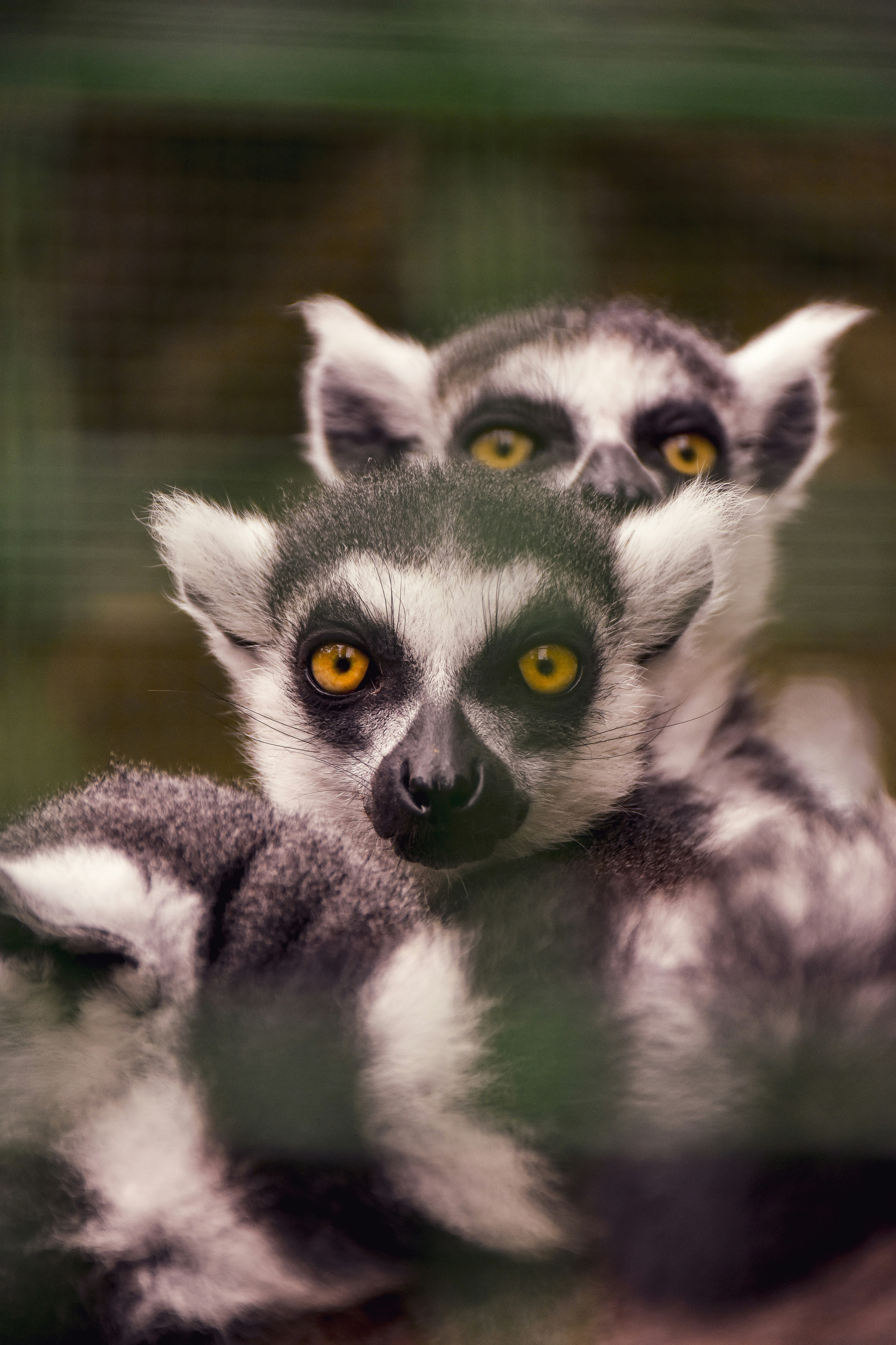 Photo by artem_makarov