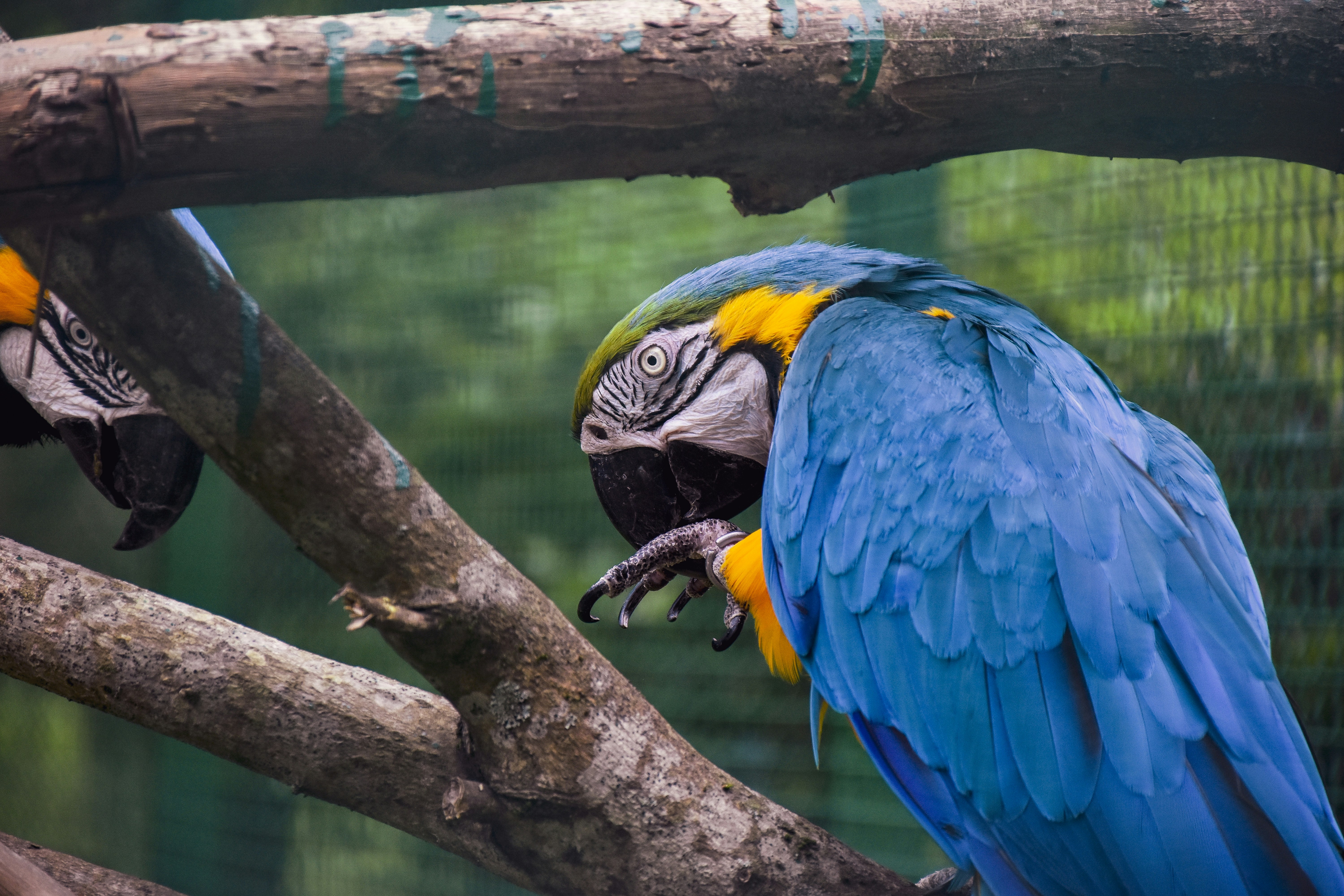 Photo by artem_makarov