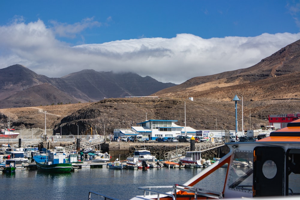 a group of boats docked in a harbor