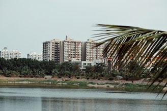 a body of water surrounded by tall buildings
